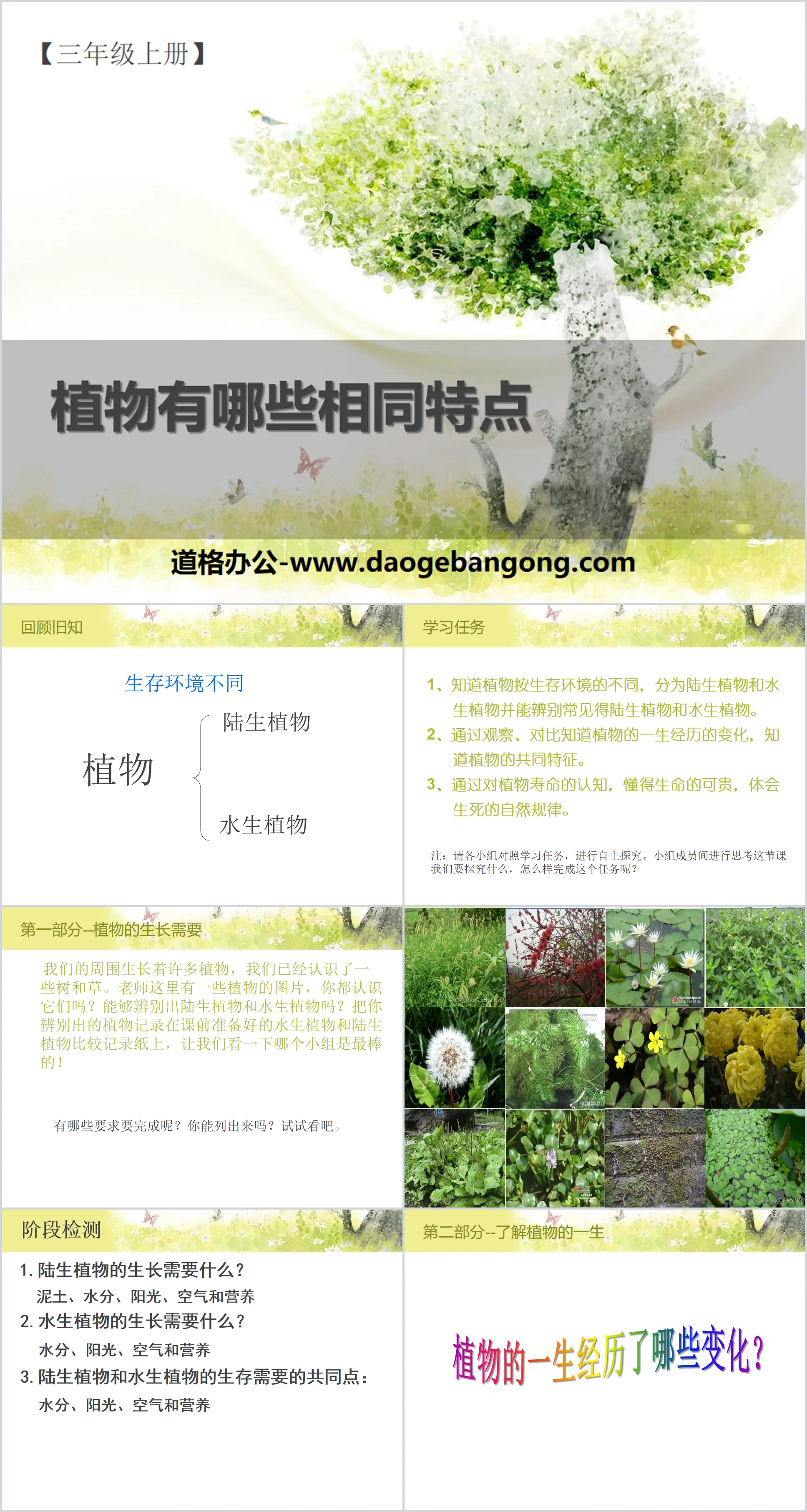 《 植物  植物的共同特点 》PPT