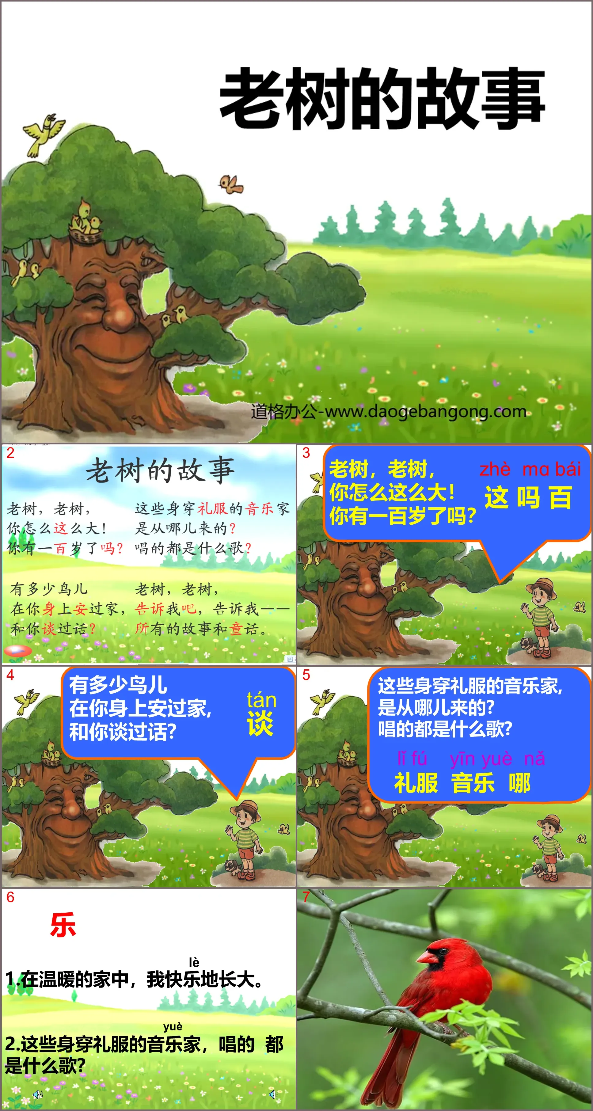 "The Story of the Old Tree" PPT Courseware 3