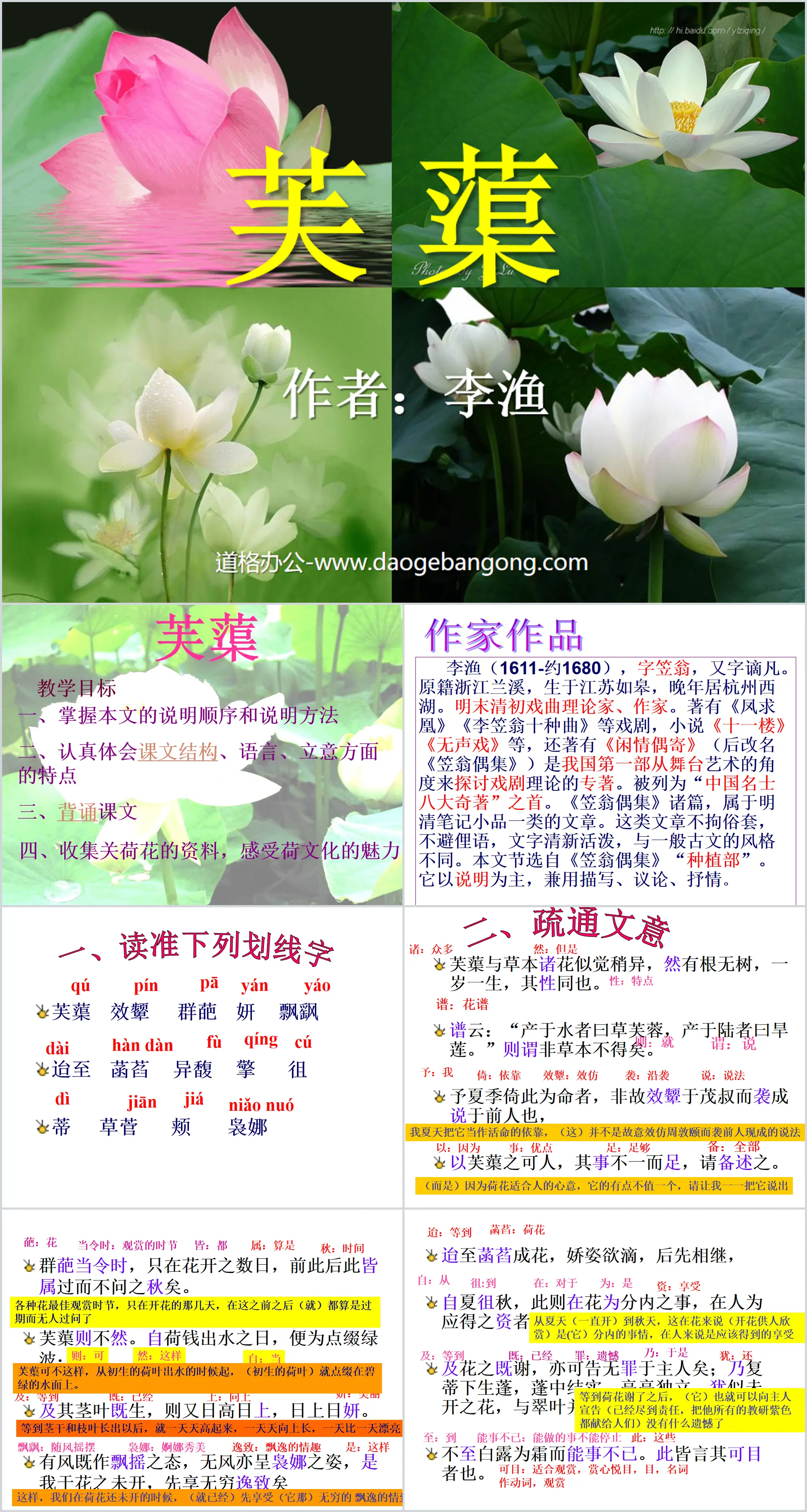 《芙蕖》PPT课件
