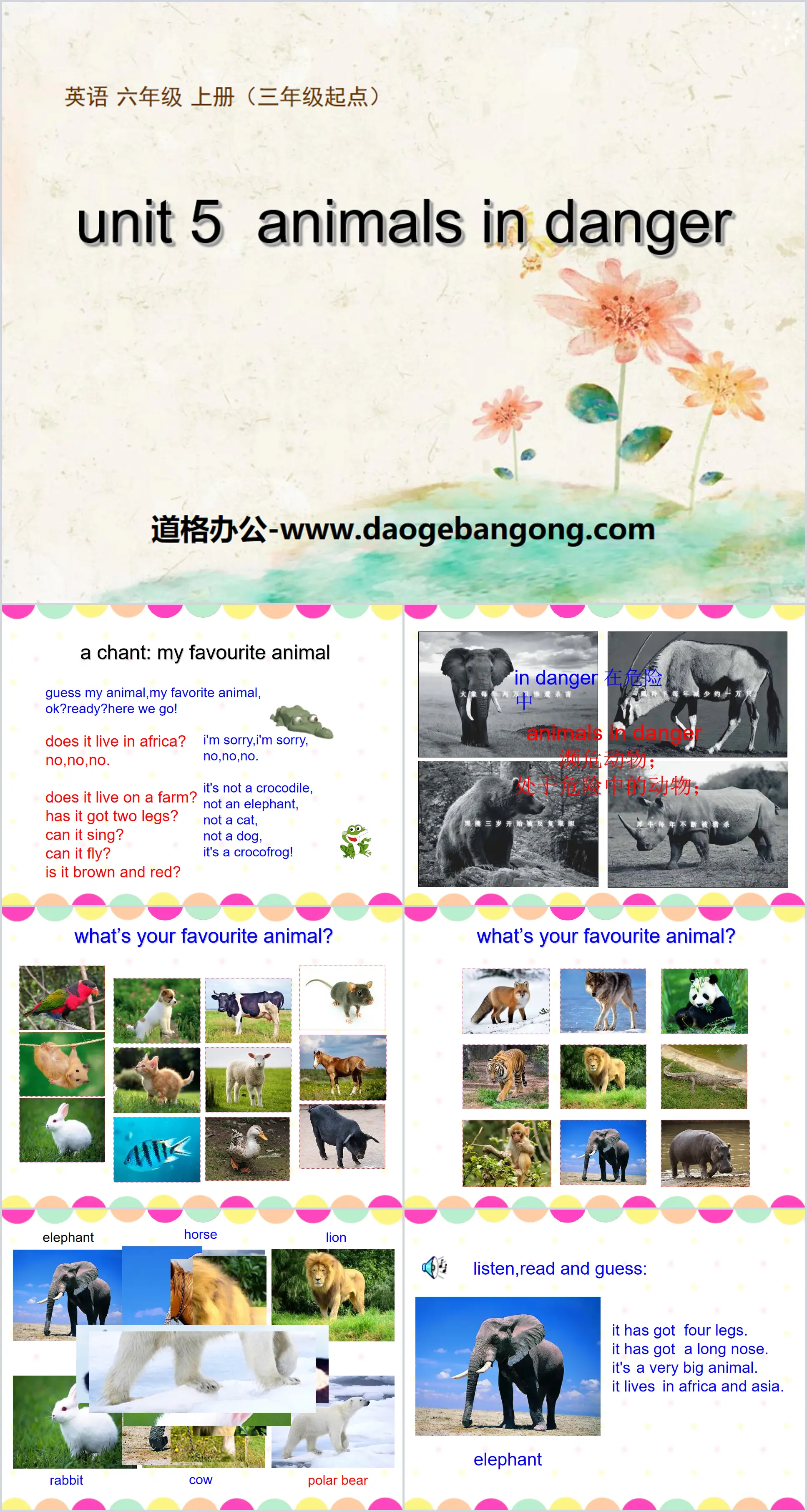 《Animals in danger》PPT课件
