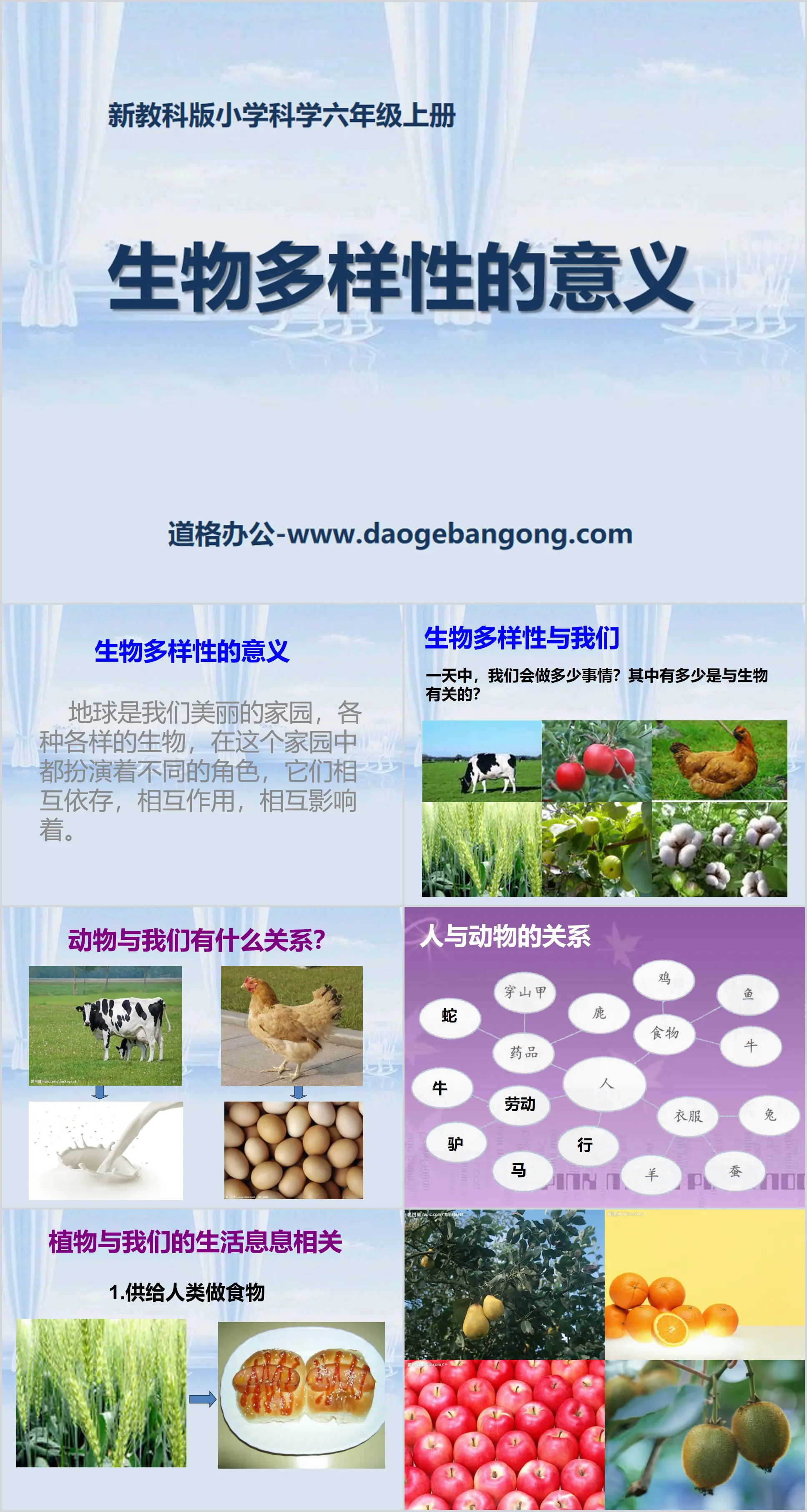 《生物多样性的意义》生物的多样性PPT课件
