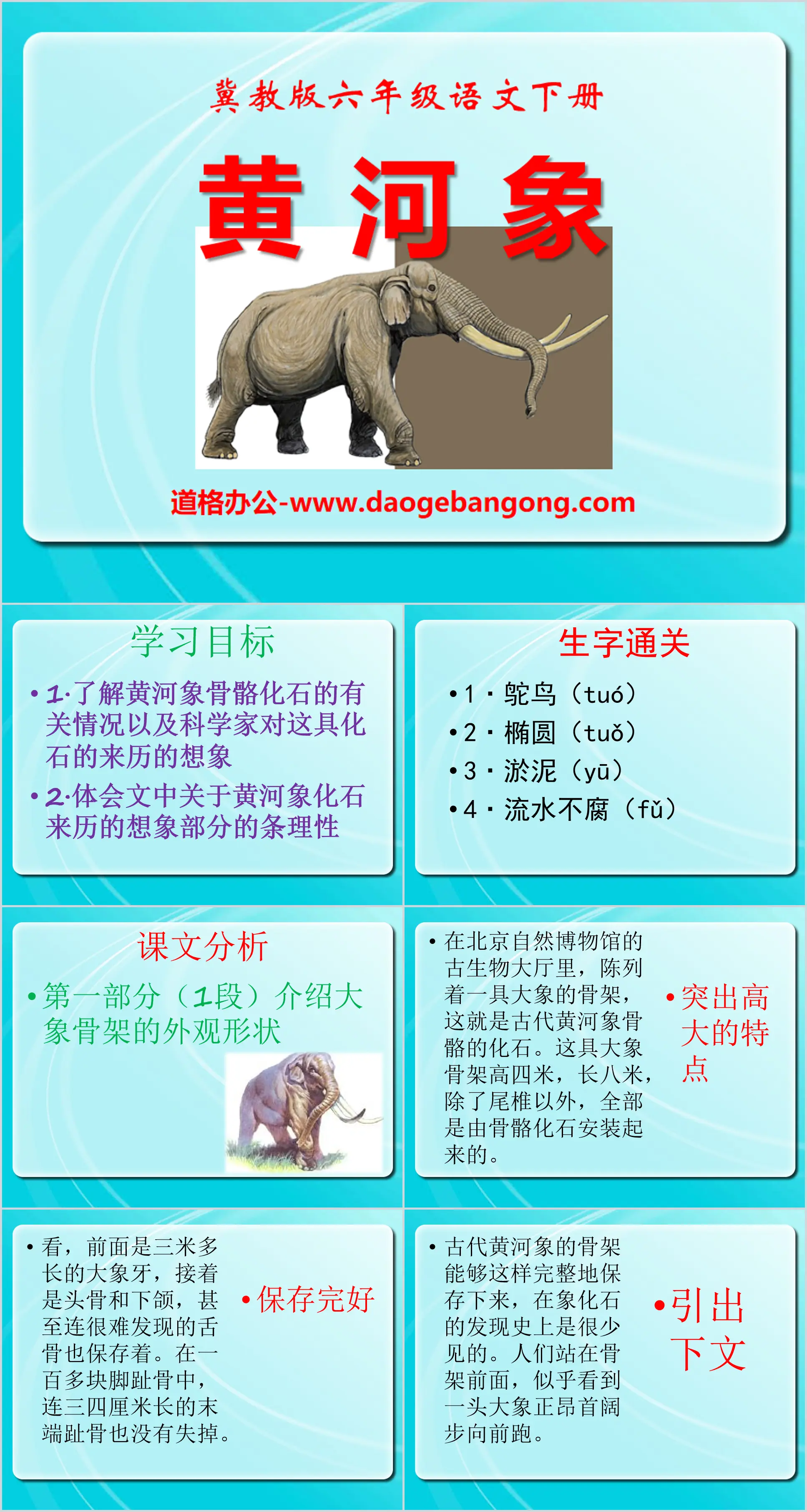 "Yellow River Elephant" PPT courseware 3