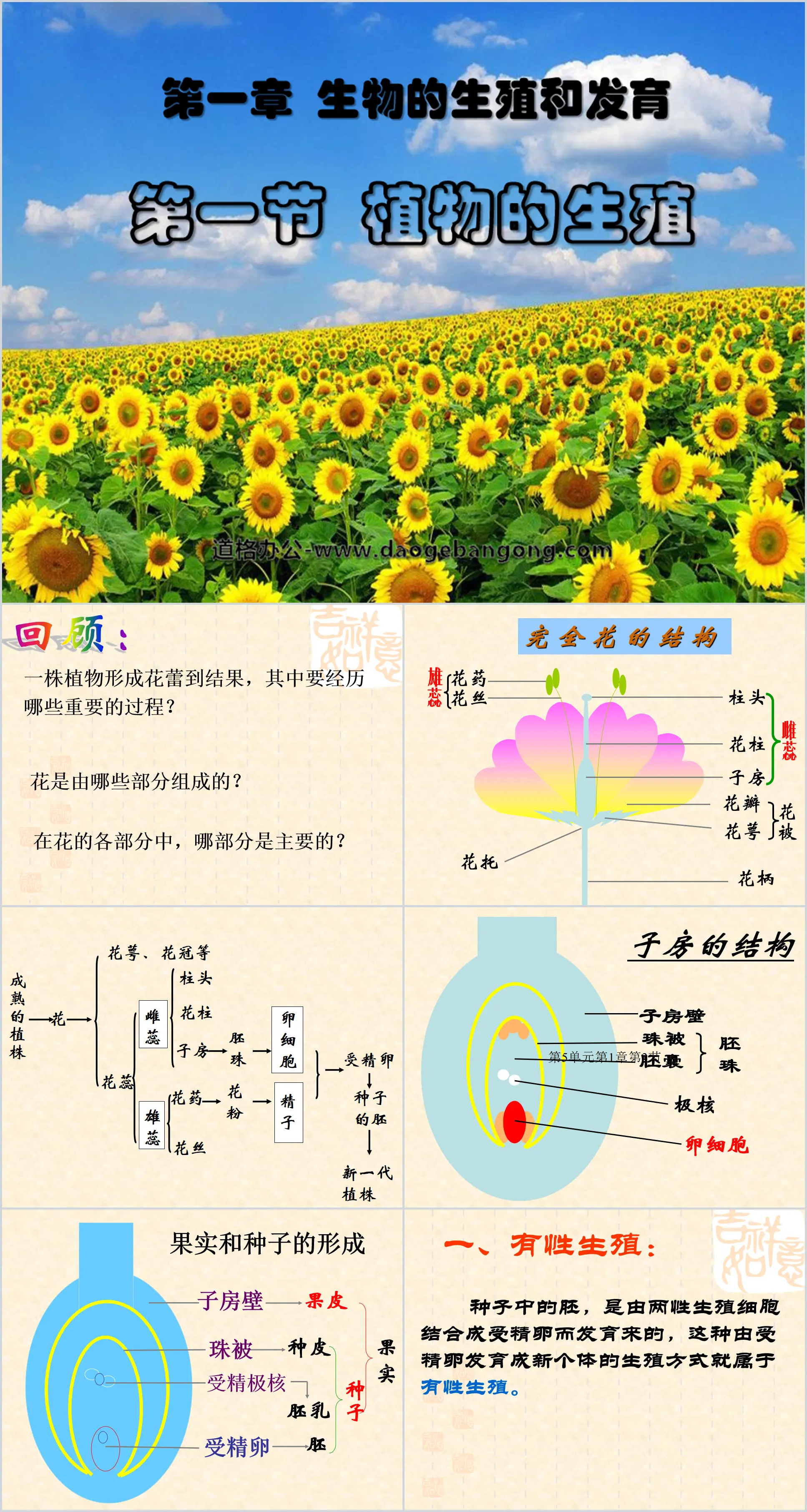 《植物的生殖》生物的生殖和发育PPT课件3
