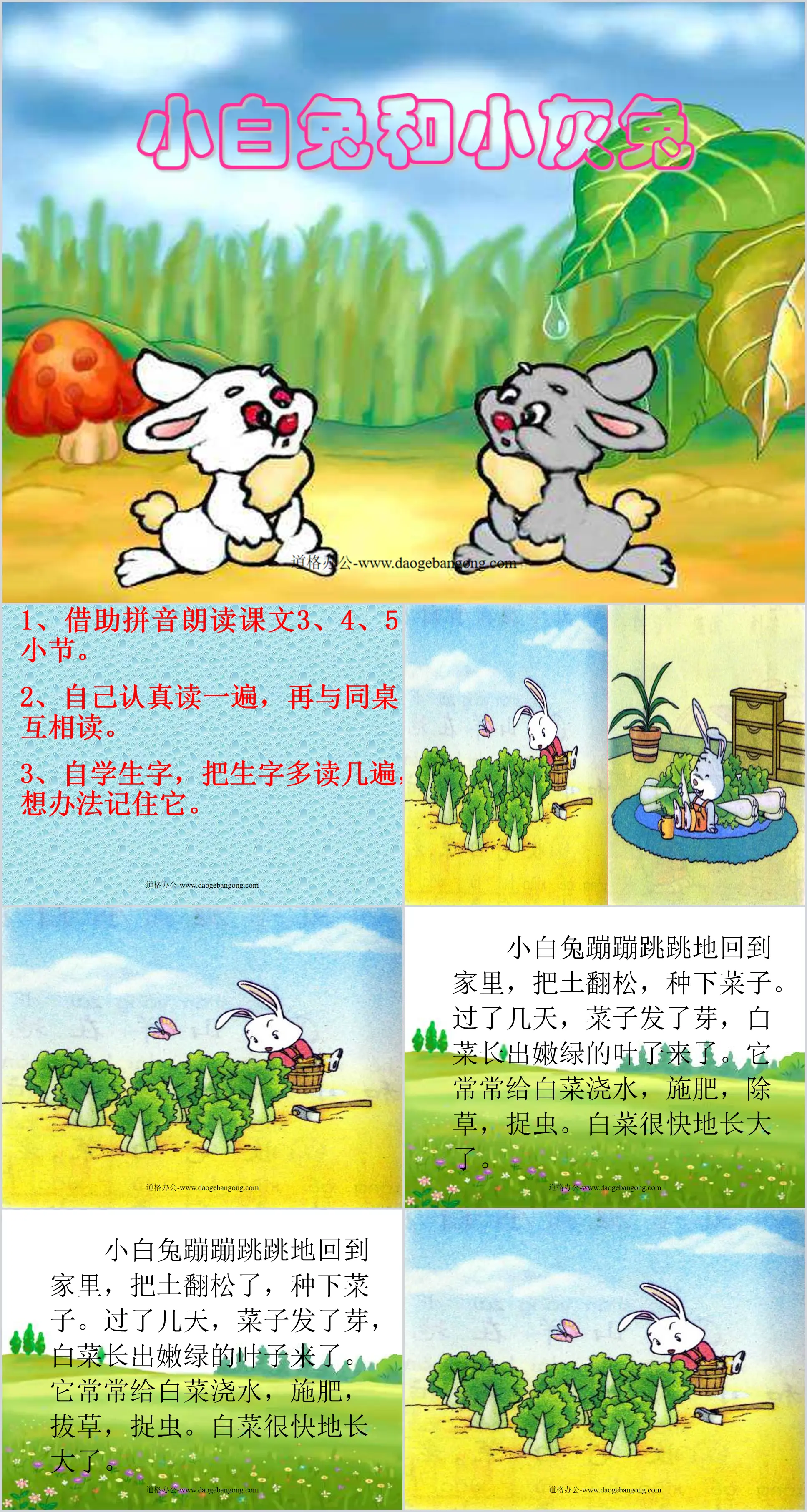 《 小白兔和小灰兔 》PPT