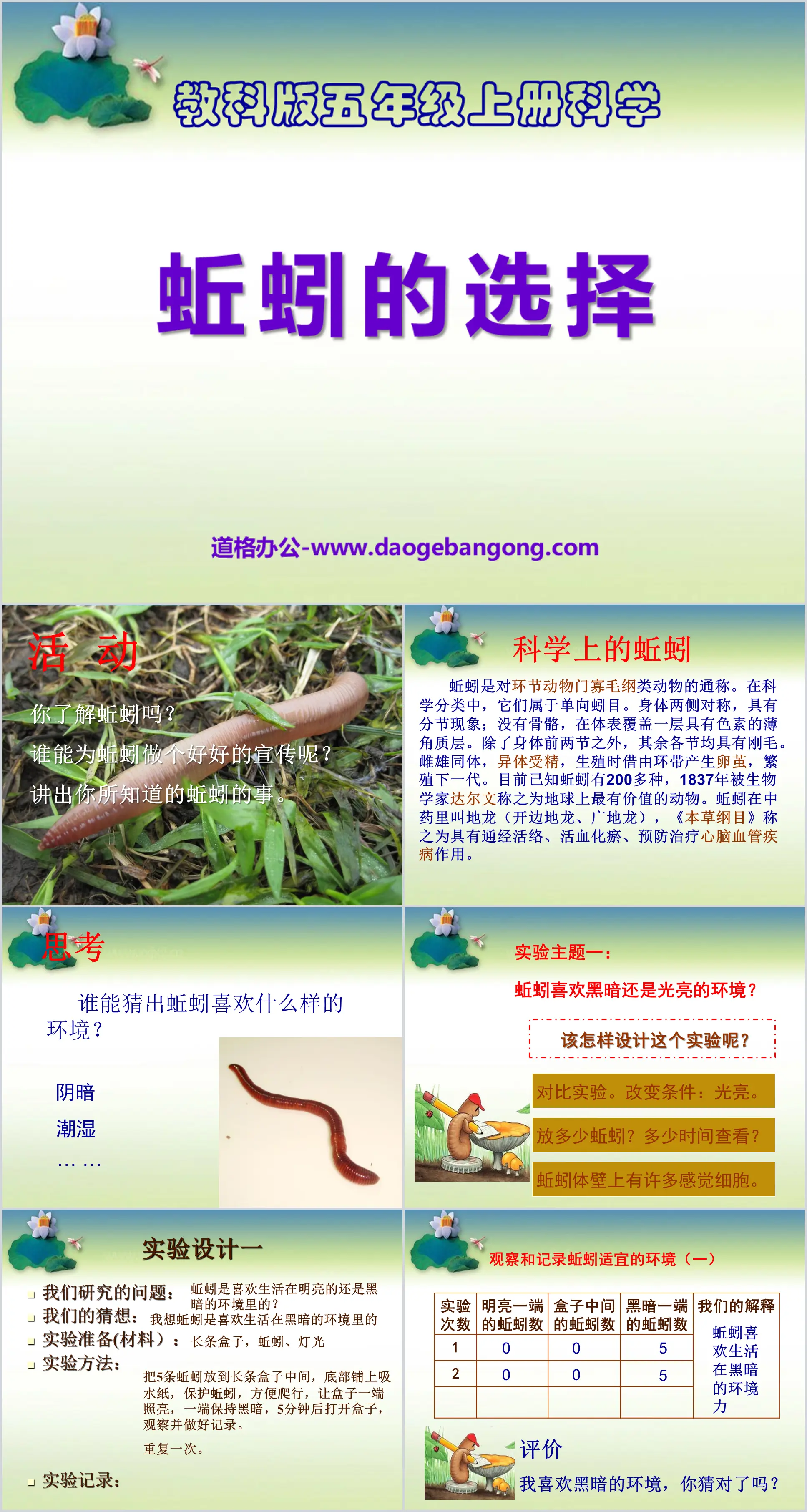 "The Choice of Earthworms" Biology and Environment PPT Courseware 5