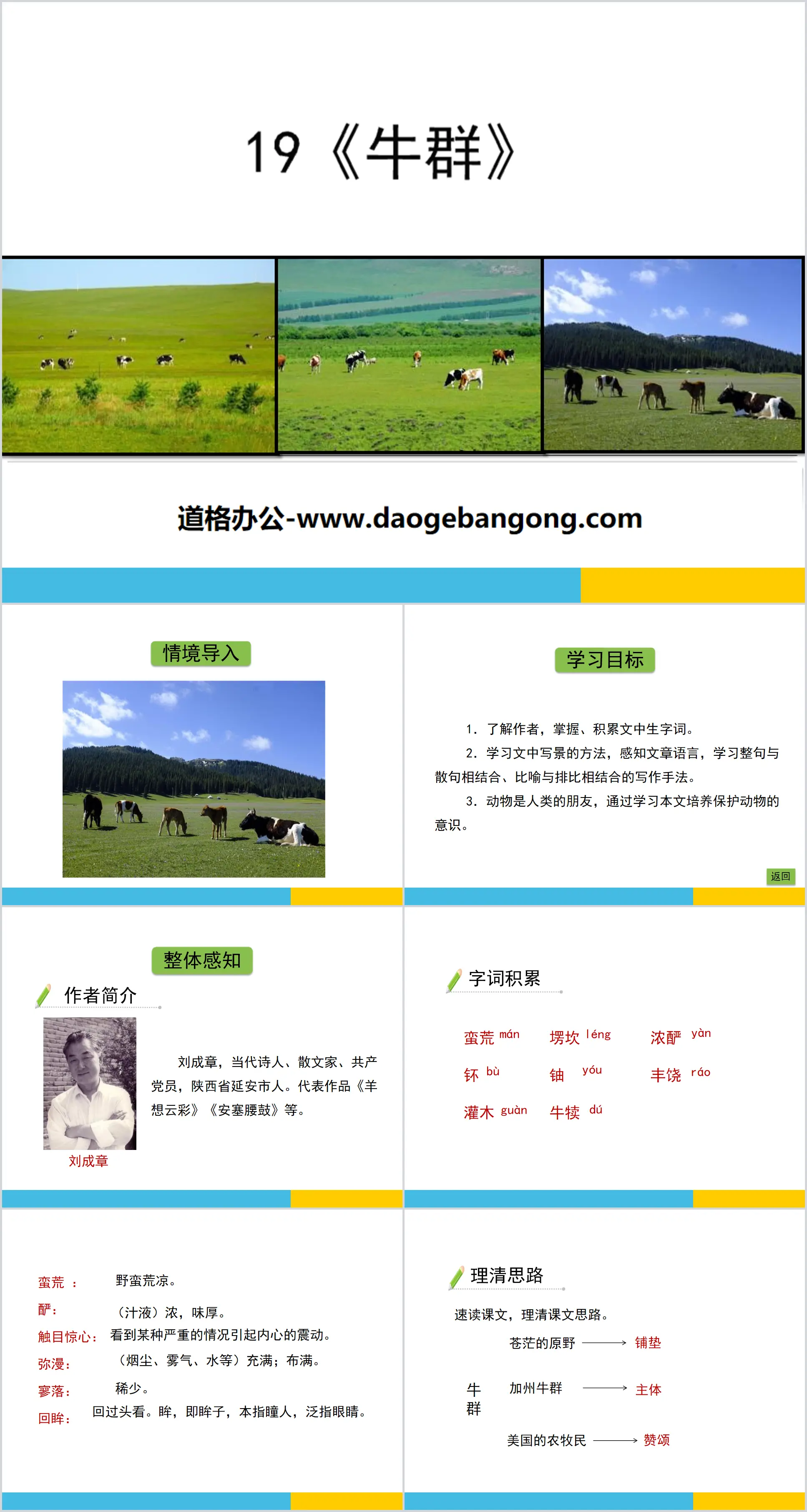 "Cows" PPT