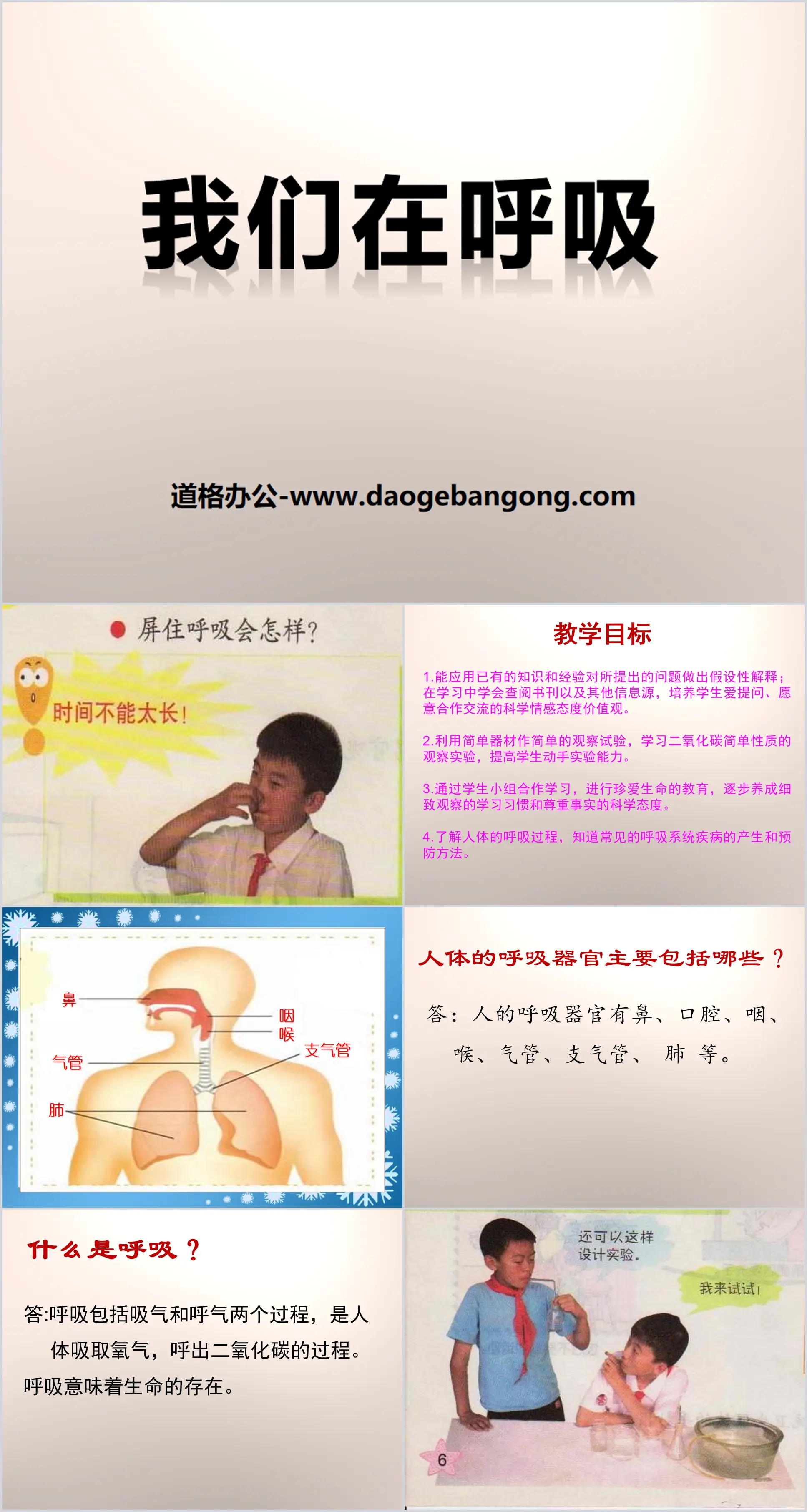 《 我们在呼吸 》PPT