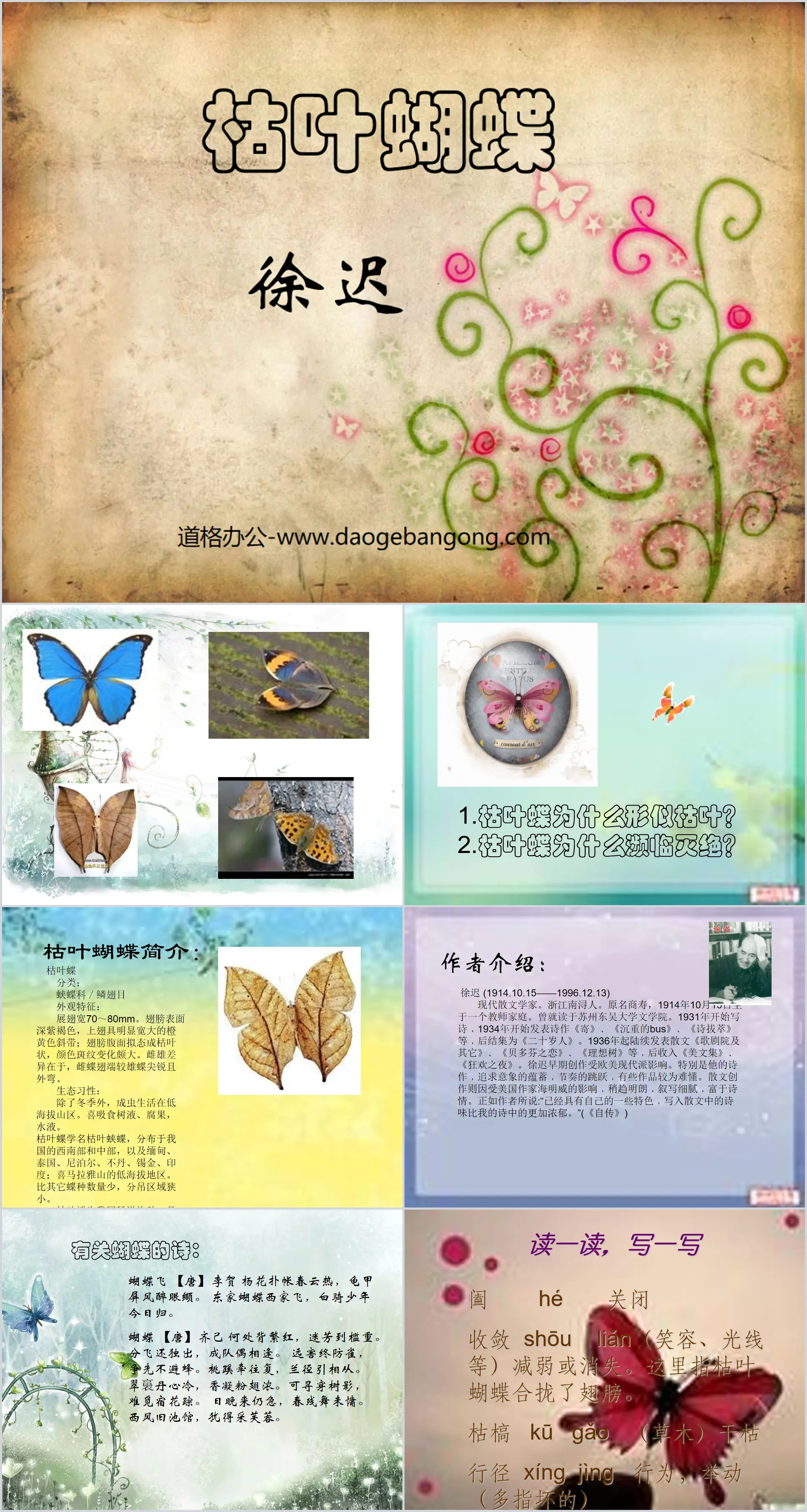 "Dead Leaf Butterfly" PPT courseware 4