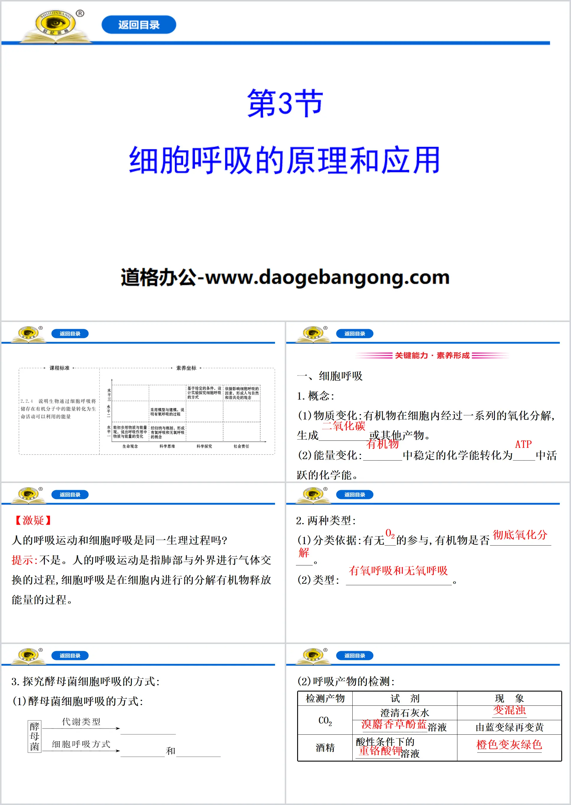 《細胞呼吸的原理與應用》細胞的能量供應與利用PPT