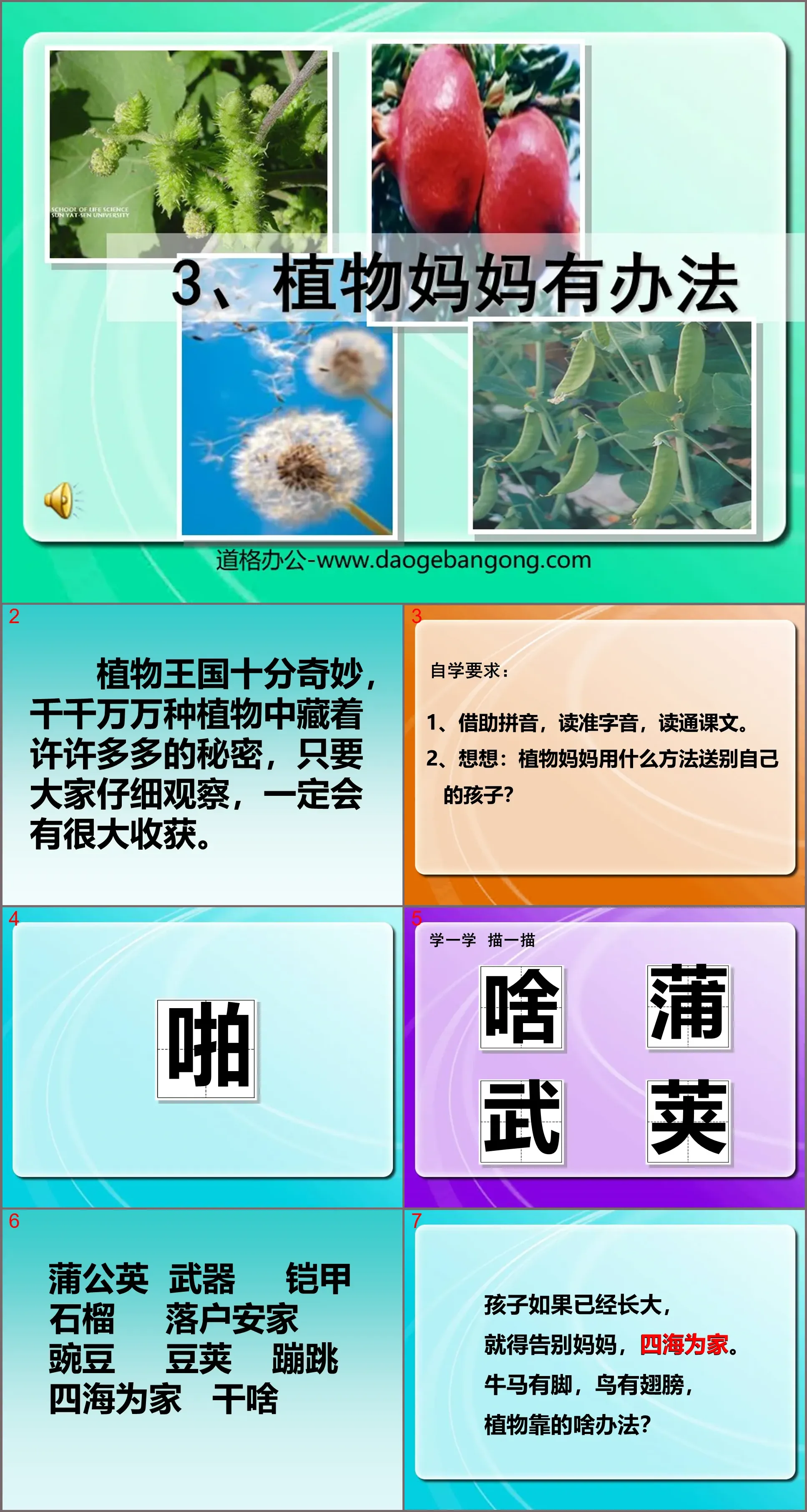 "Plant Mother Has a Solution" PPT teaching courseware download 3