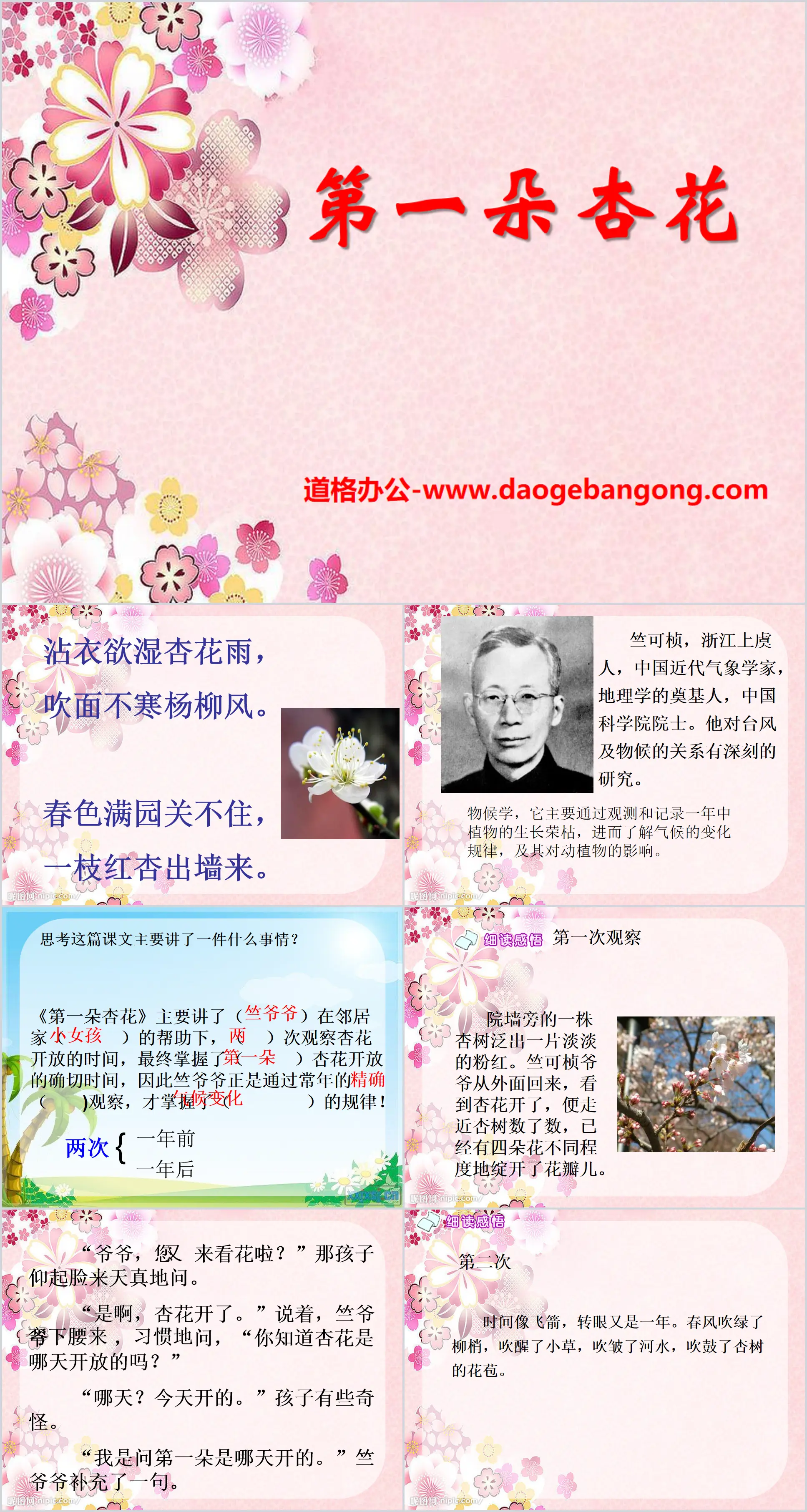 "The First Apricot Blossom" PPT Courseware 7