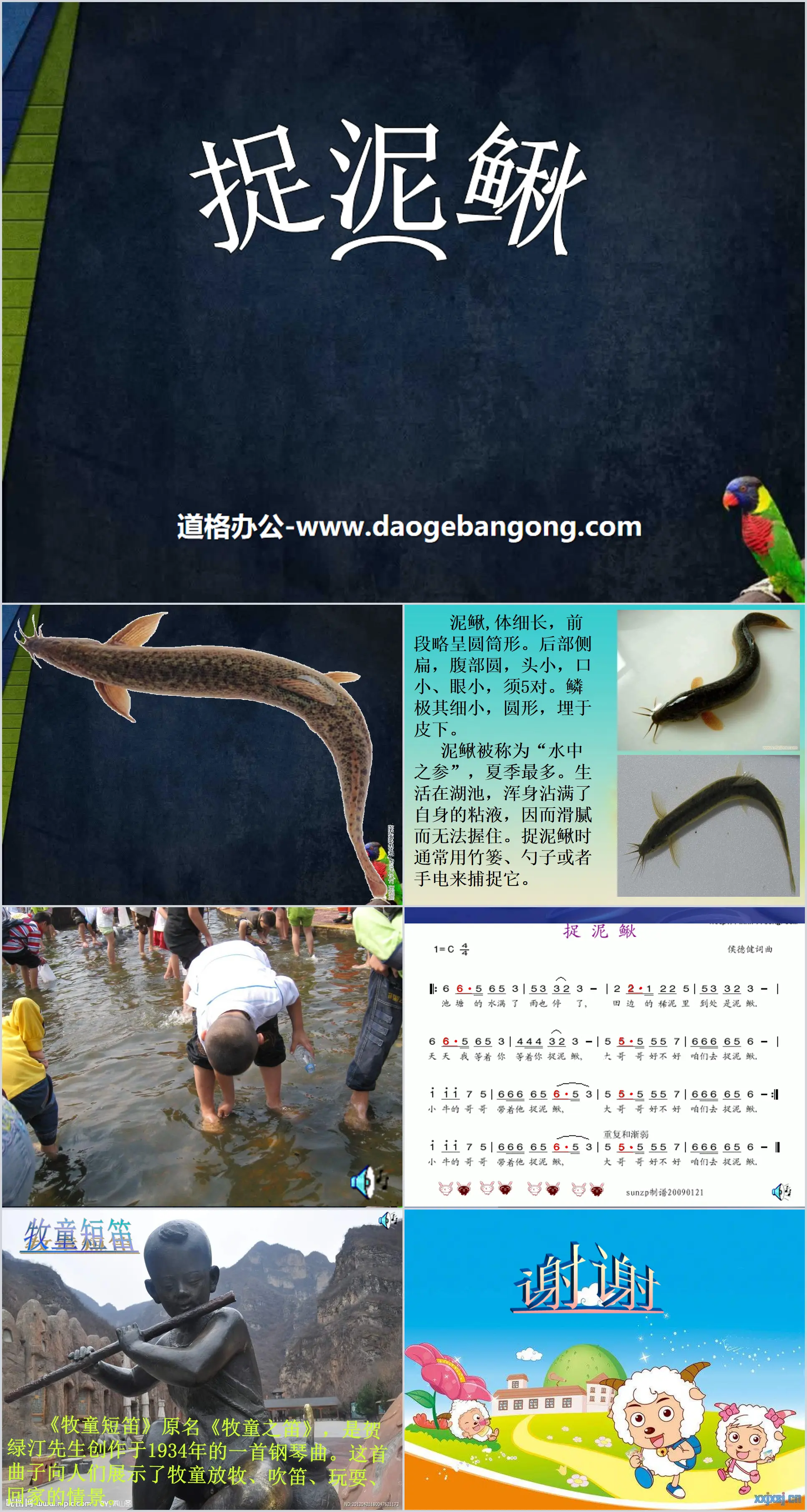 "Catching Loaches" PPT Courseware 2