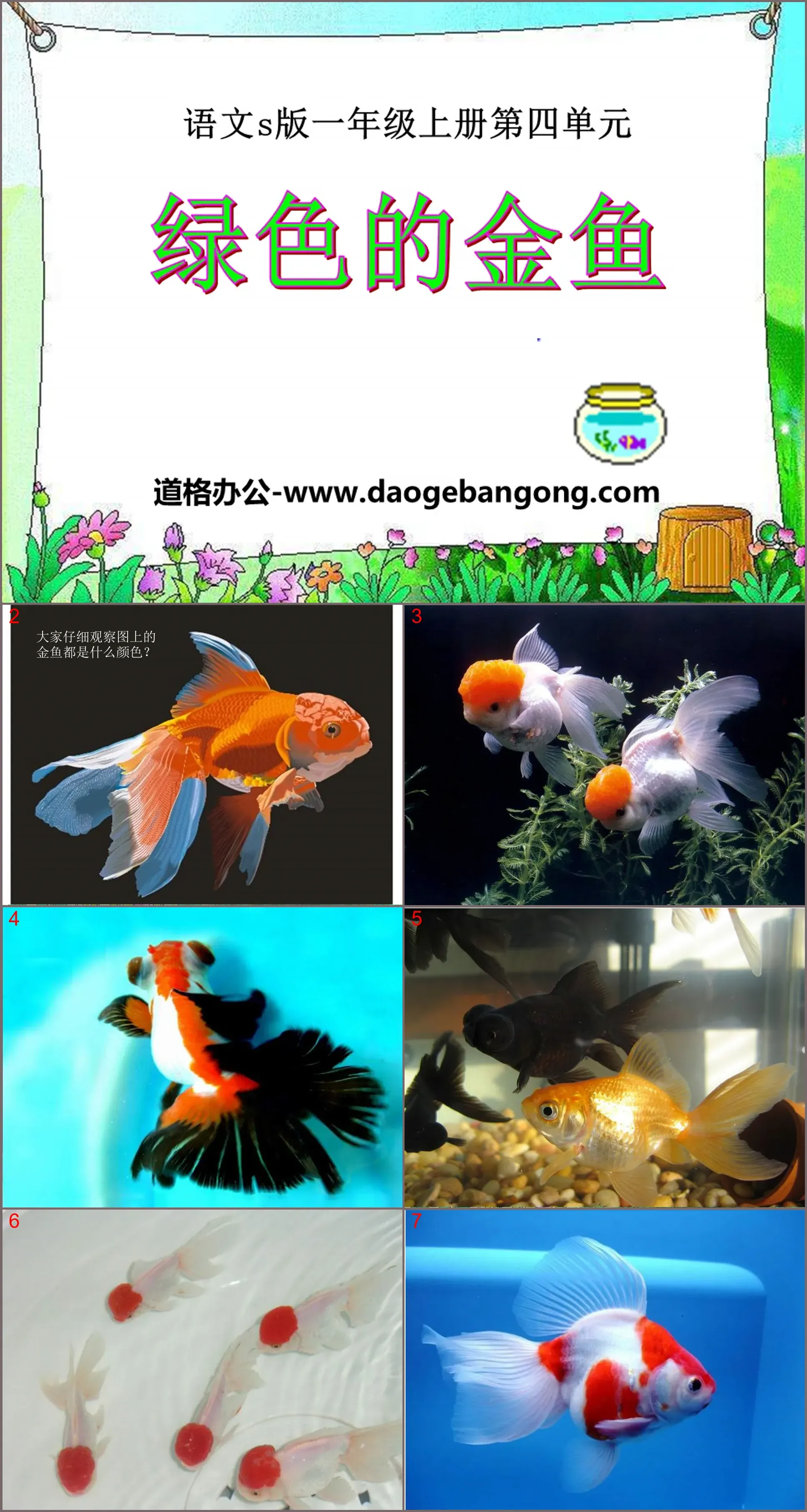 "Green Goldfish" PPT Courseware 2