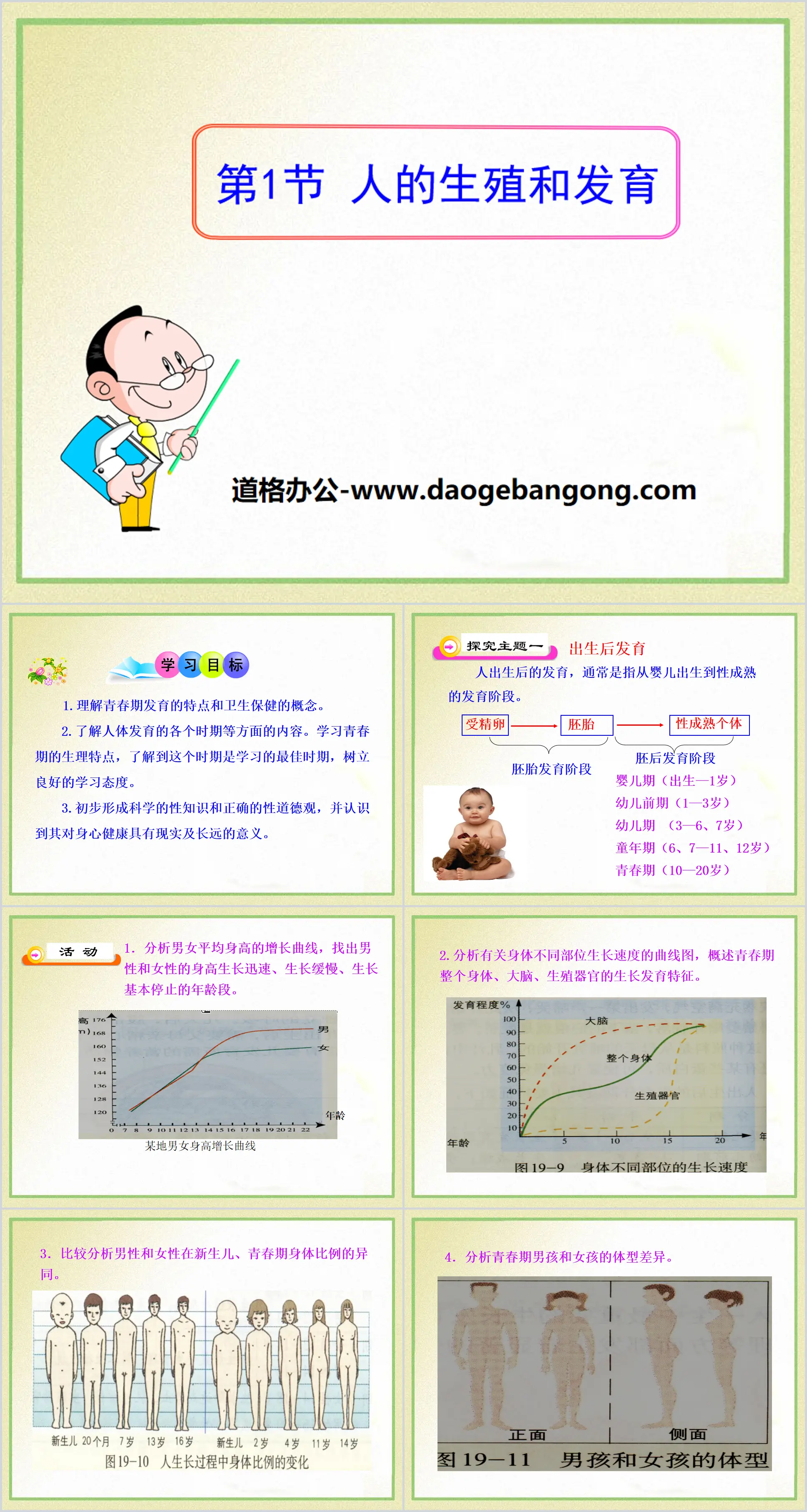 《人的生殖和发育》PPT课件
