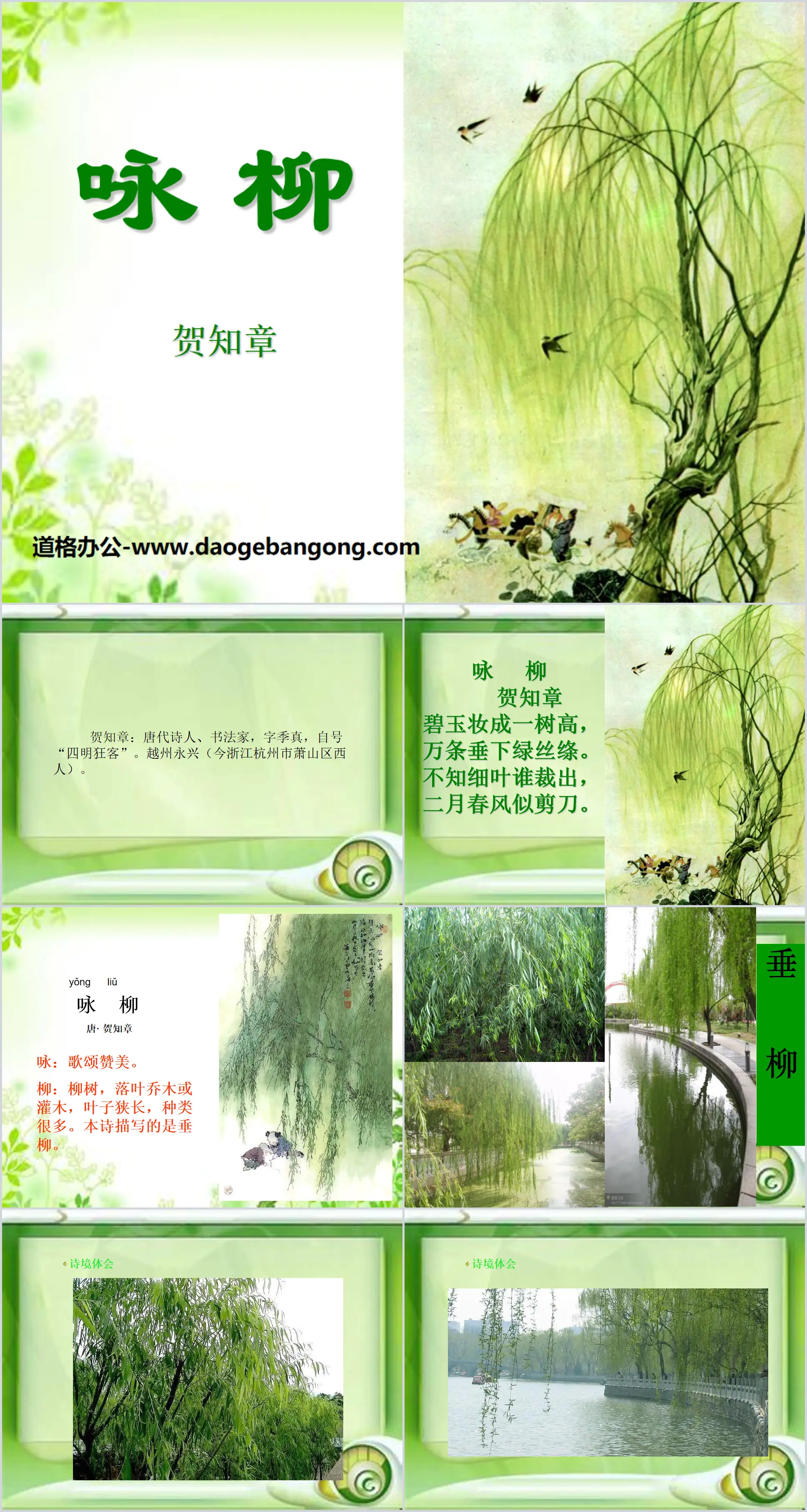 "Yong Willow" PPT courseware 4