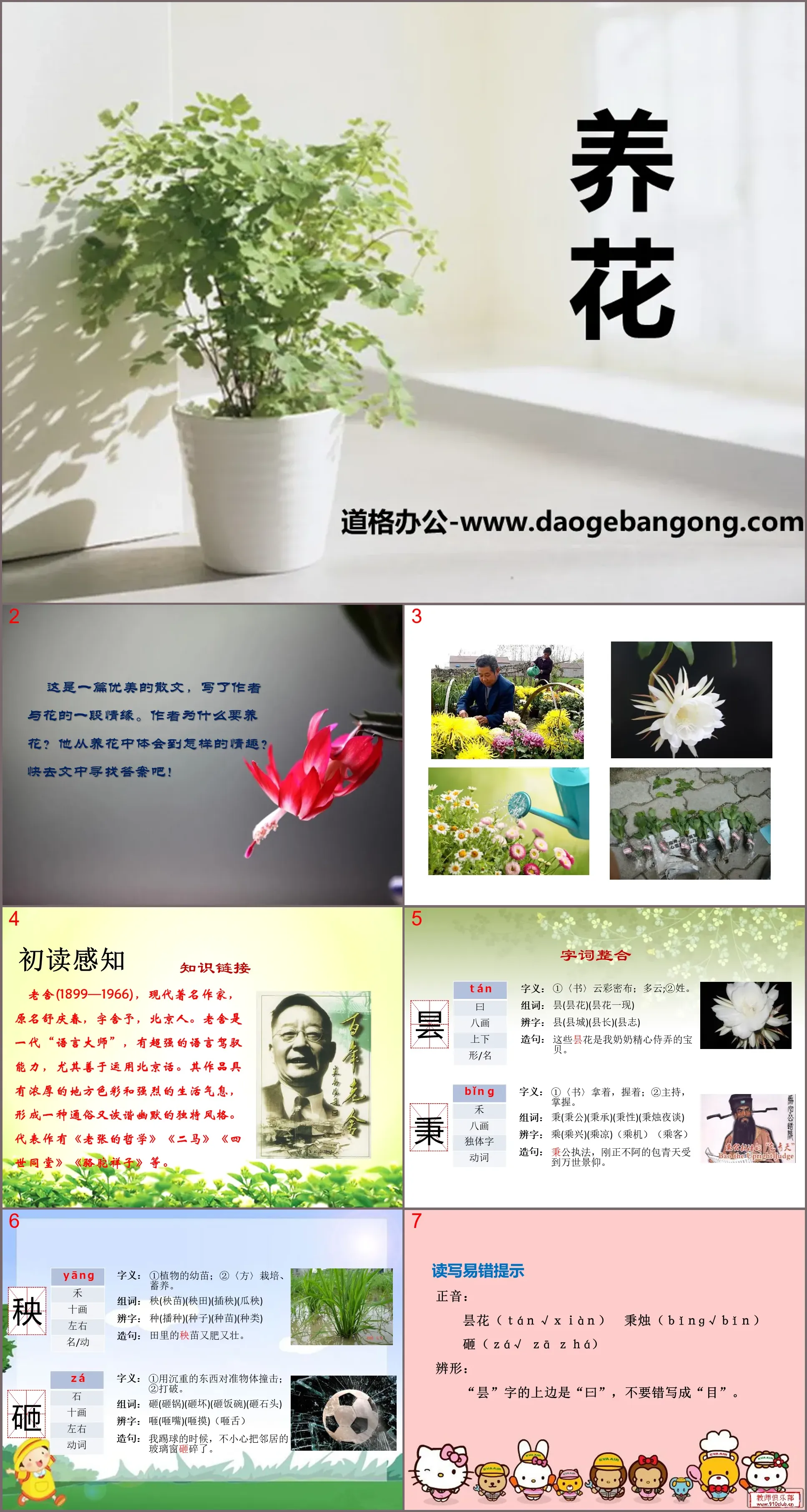 《養花》PPT