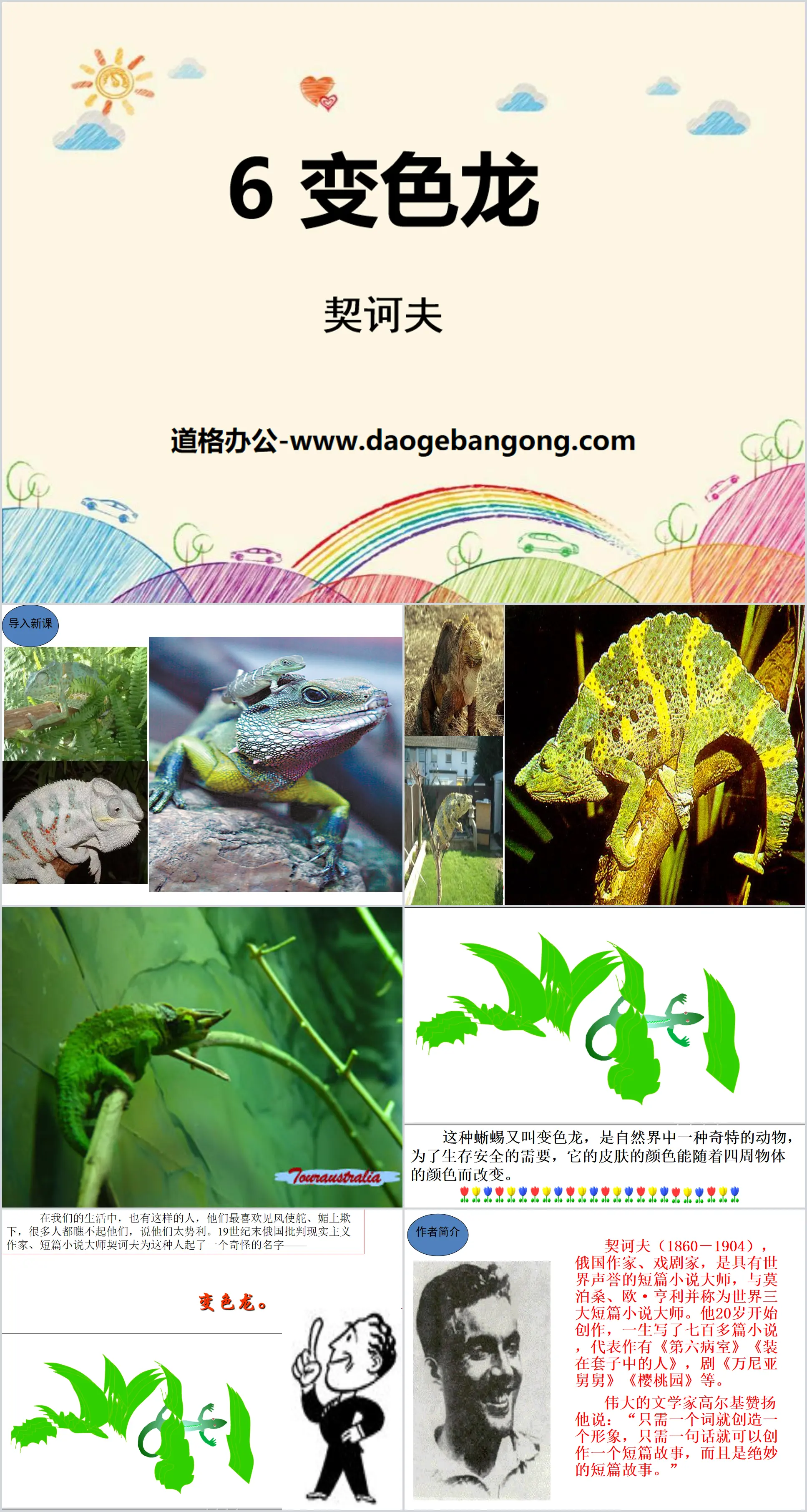 "Chameleon" PPT free teaching courseware