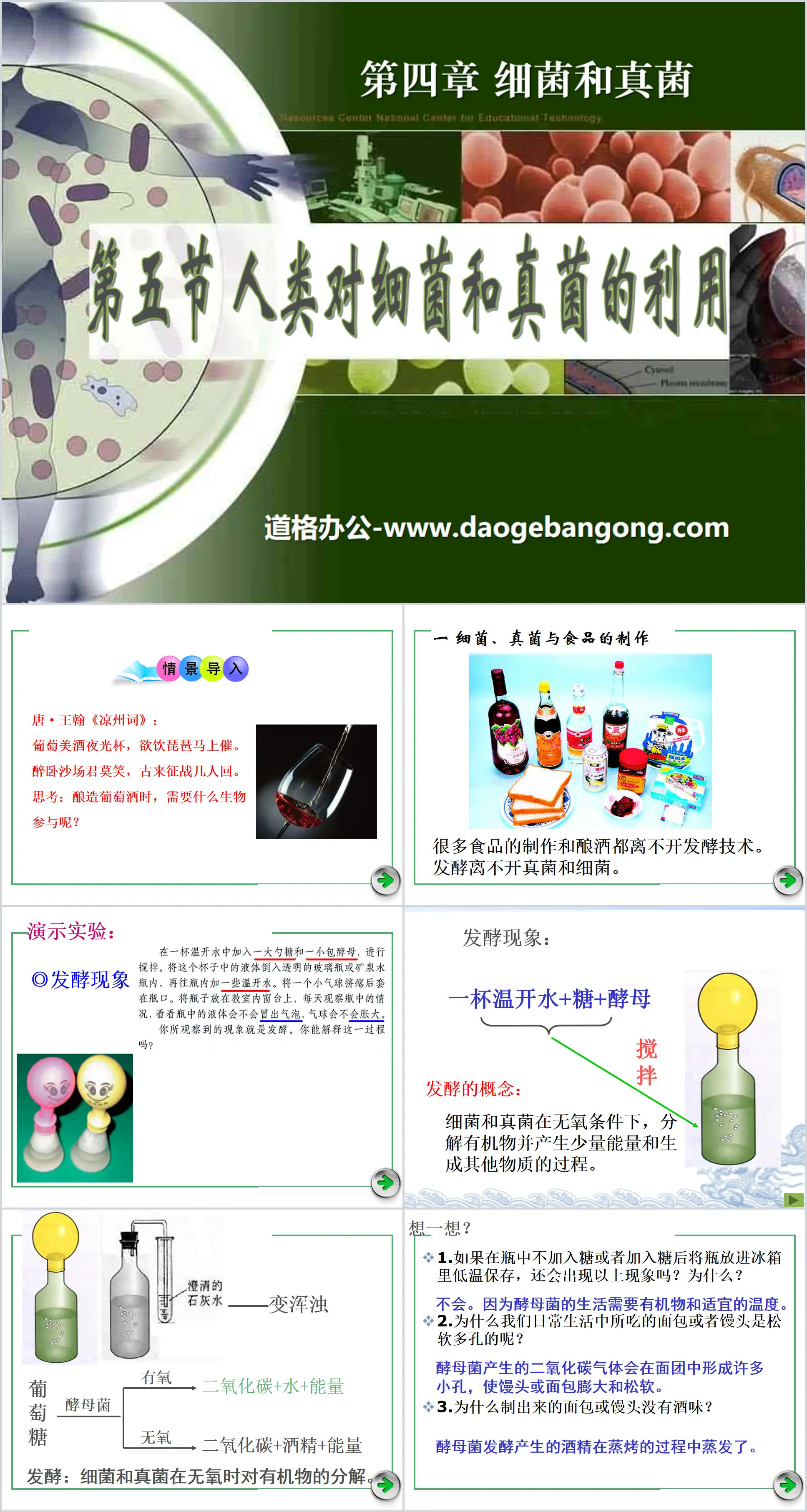 "Human Utilization of Bacteria and Fungi" Bacteria and Fungi PPT Courseware