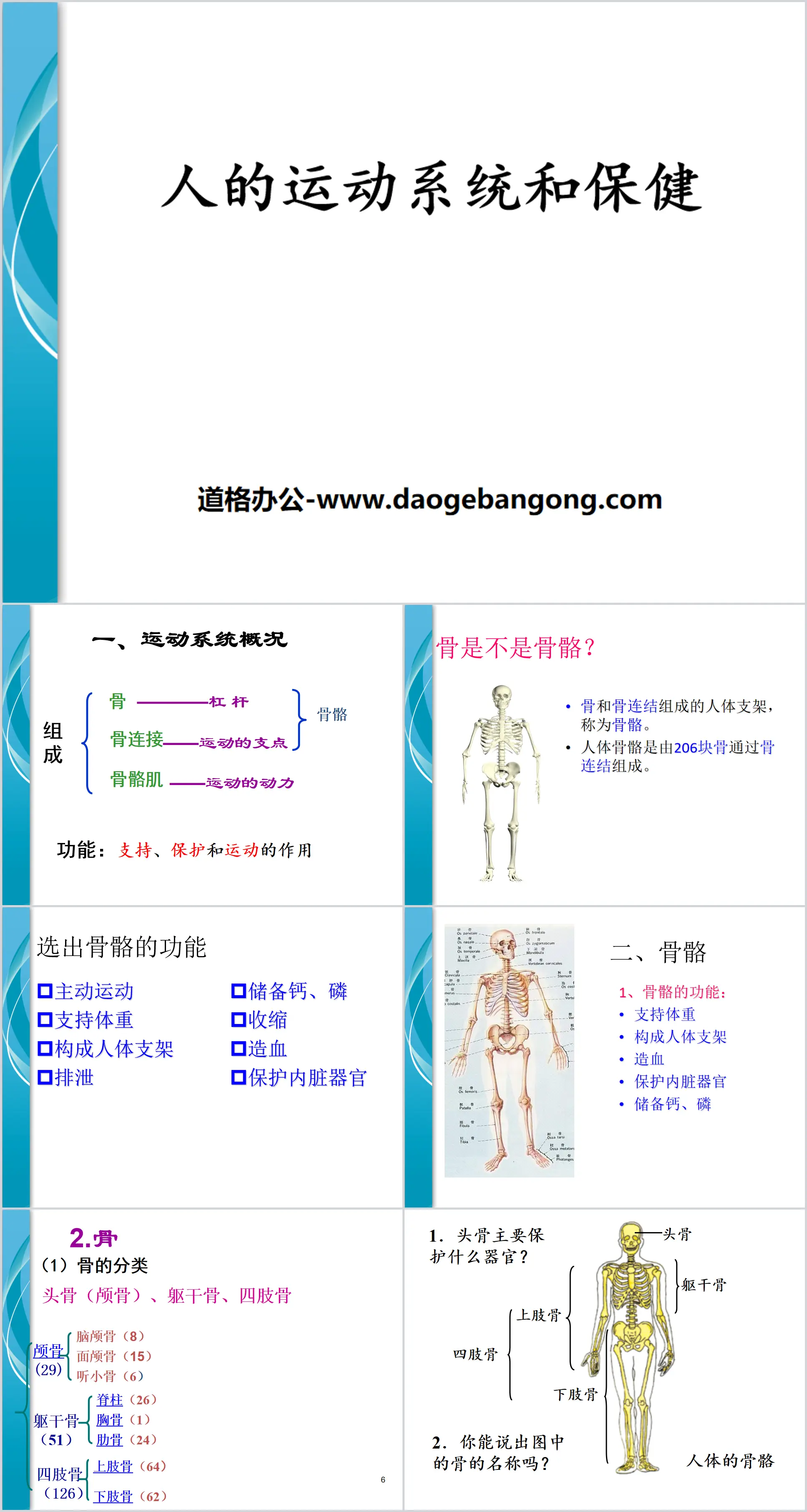 《人的运动系统和保健》PPT
