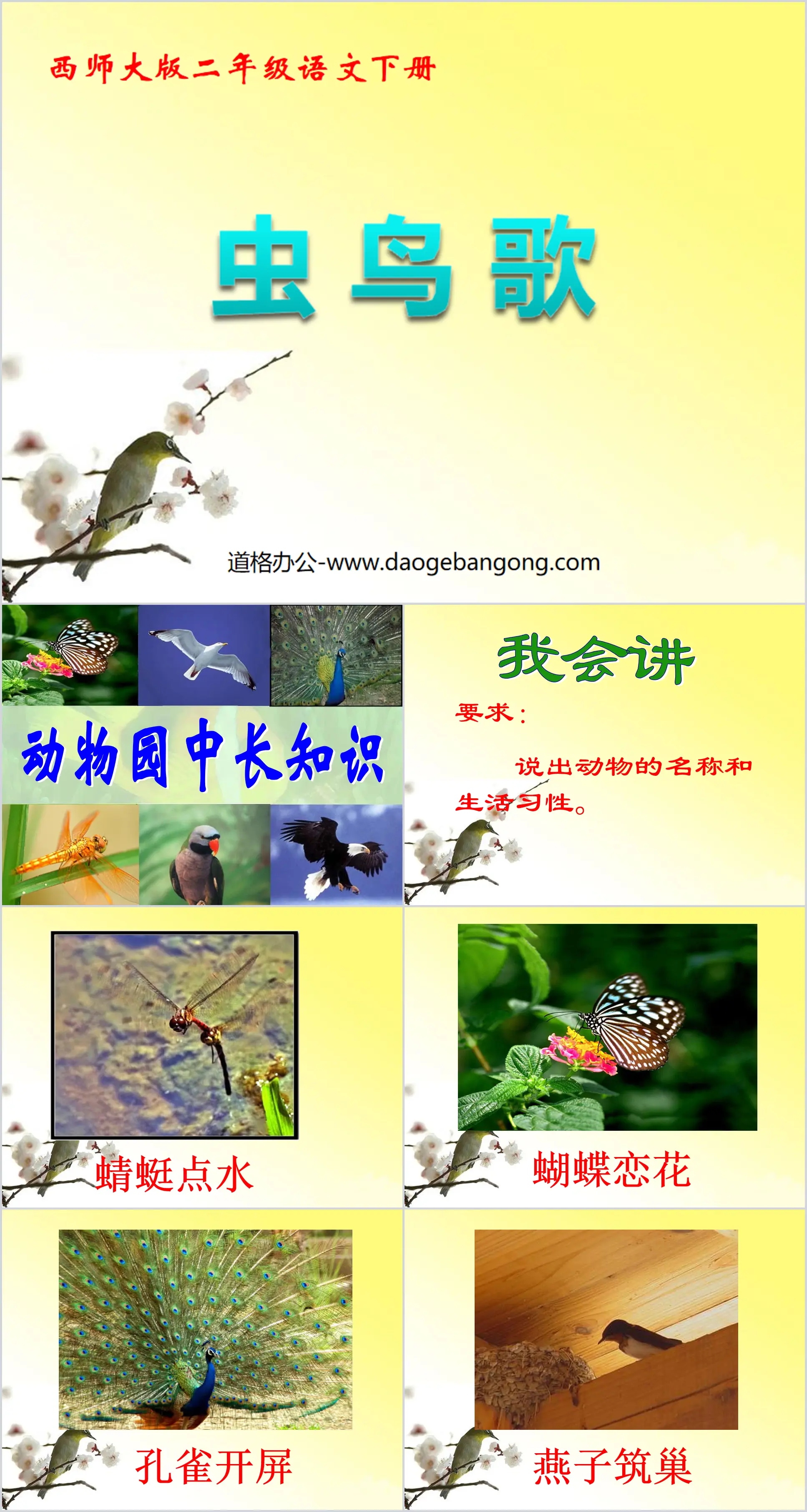 "Insect Bird Song" PPT courseware