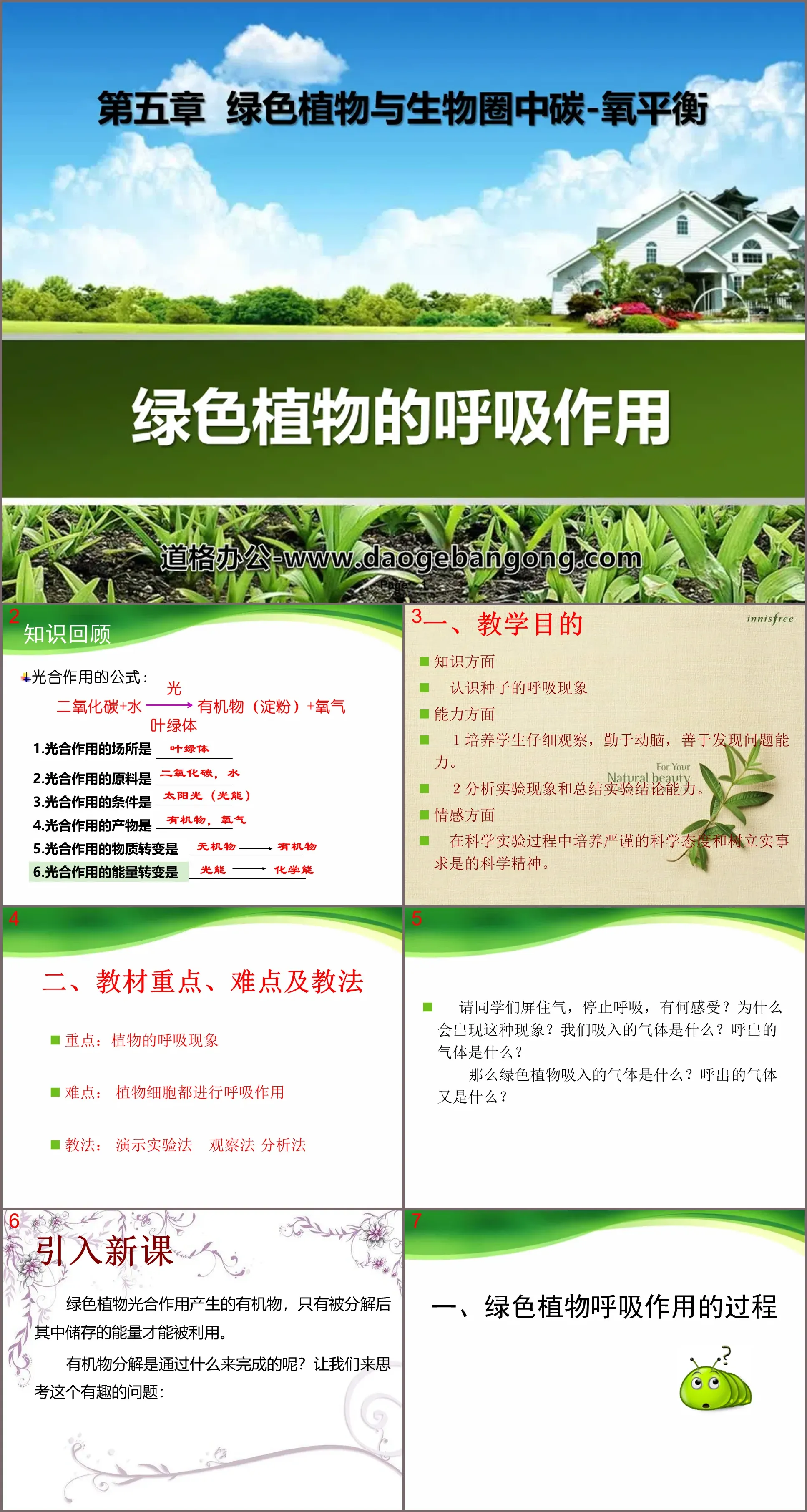 《绿色植物的呼吸作用》绿色植物与生物圈中碳-氧平衡PPT课件