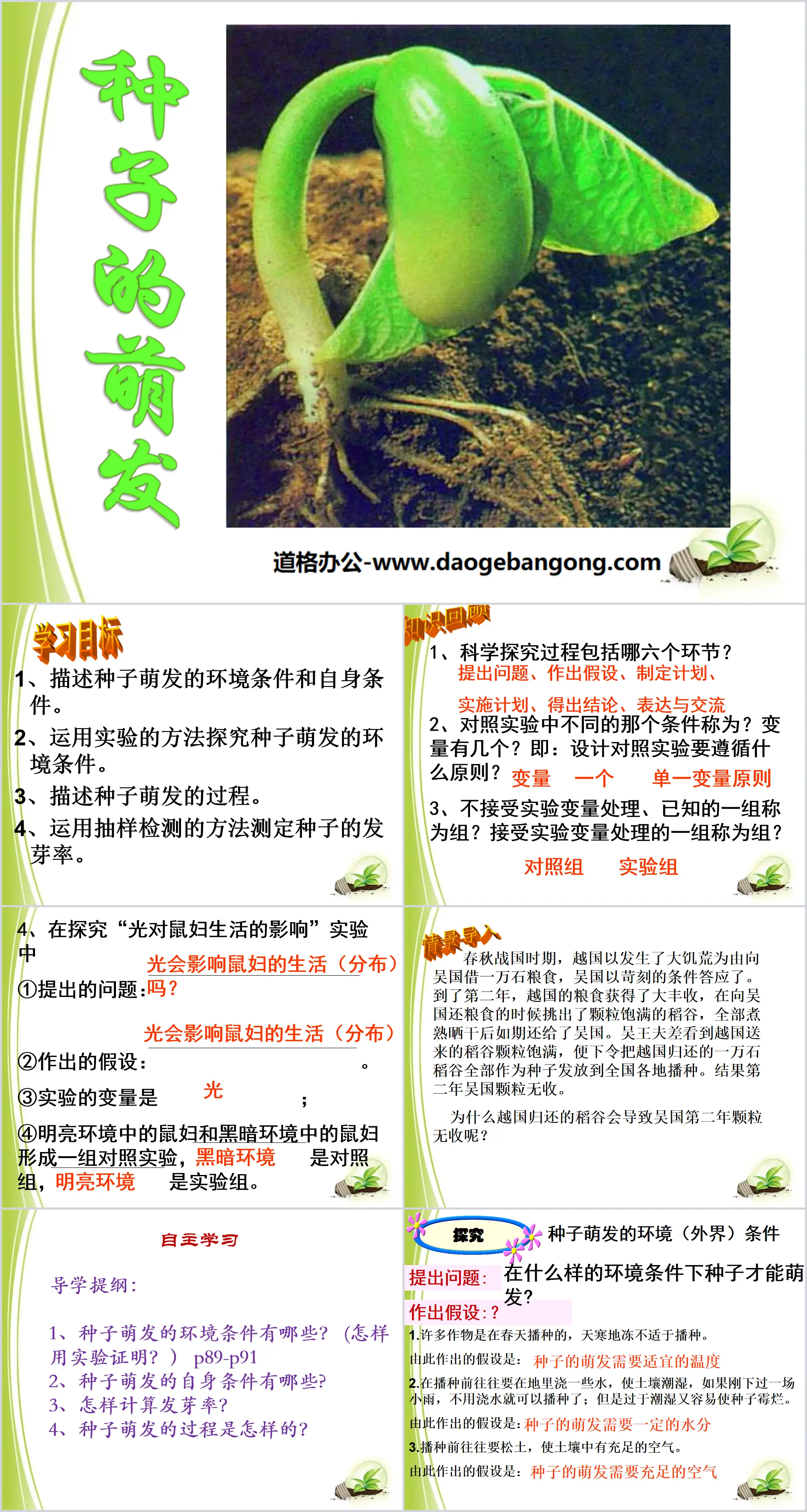 《种子的萌发》被子植物的一生PPT课件8
