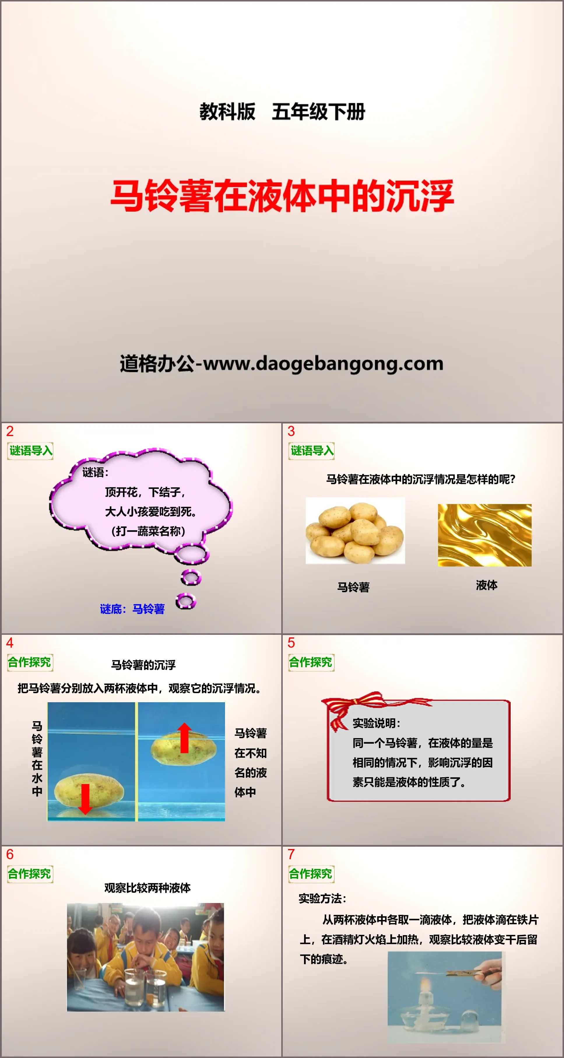 《馬鈴薯在液體中的沉浮》沈和浮PPT下載