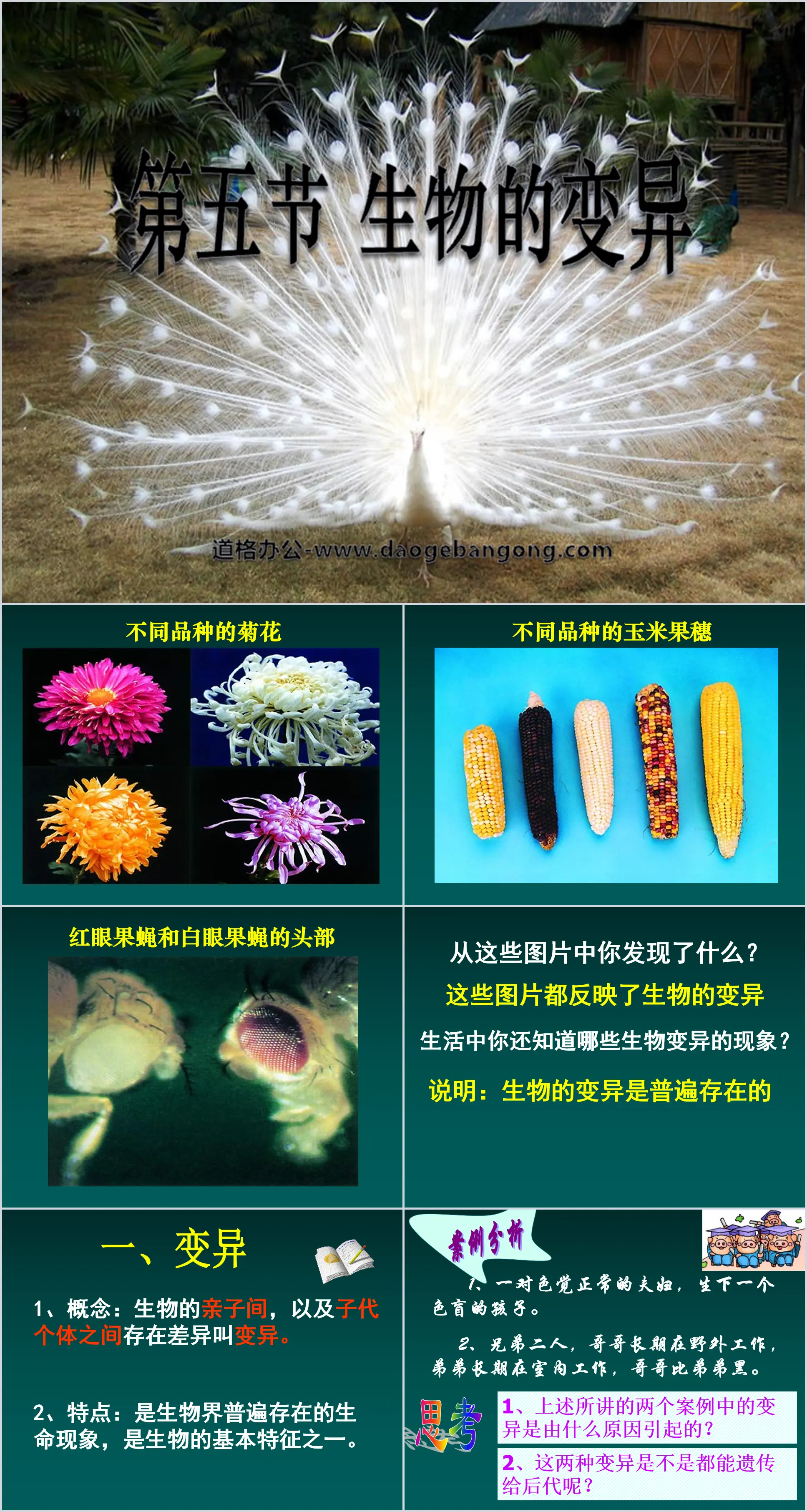 《生物的变异》生物的遗传和变异PPT课件5
