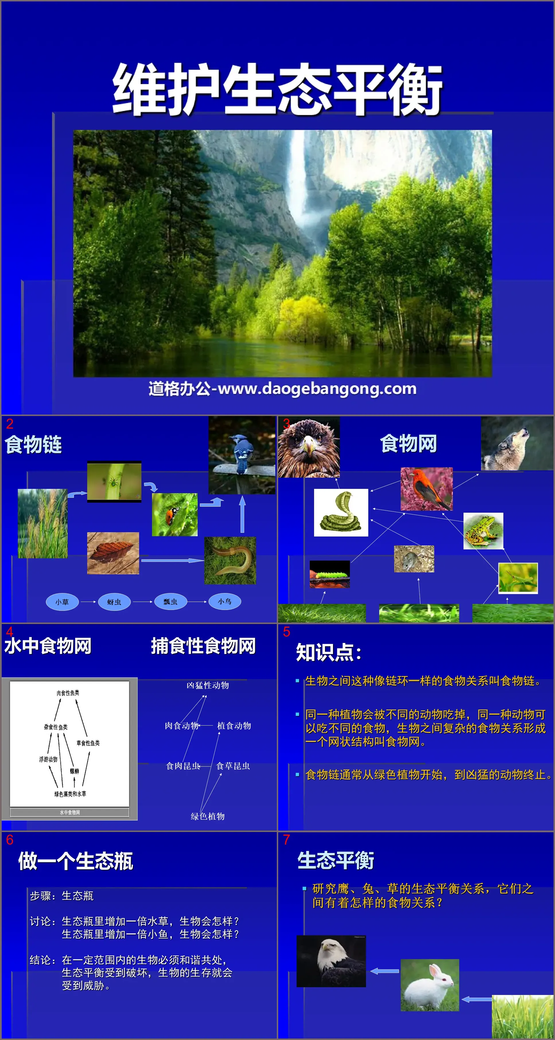 《维护生态平衡》生物与环境PPT课件4