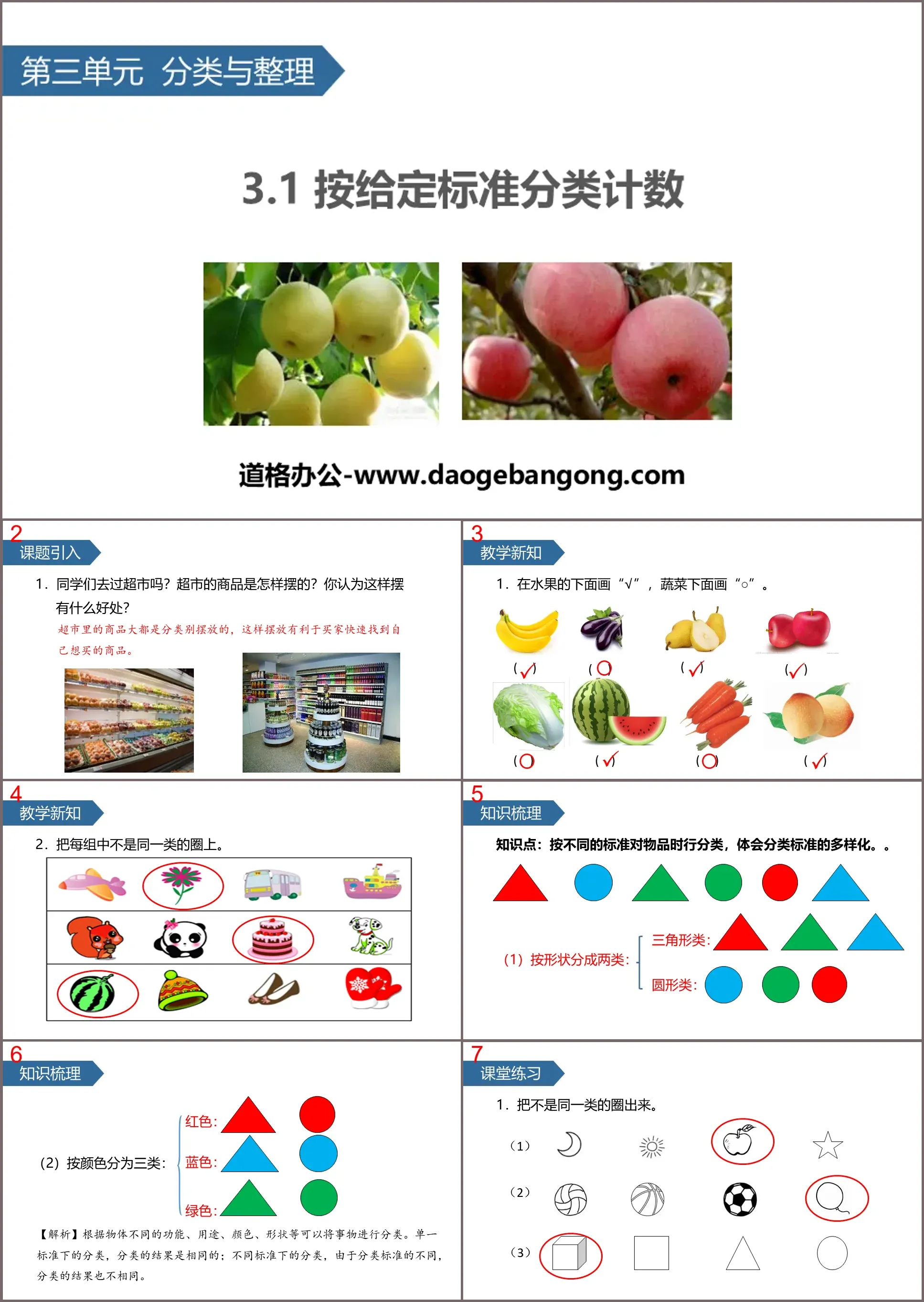 《分类与整理》PPT(按给定标准分类计数)