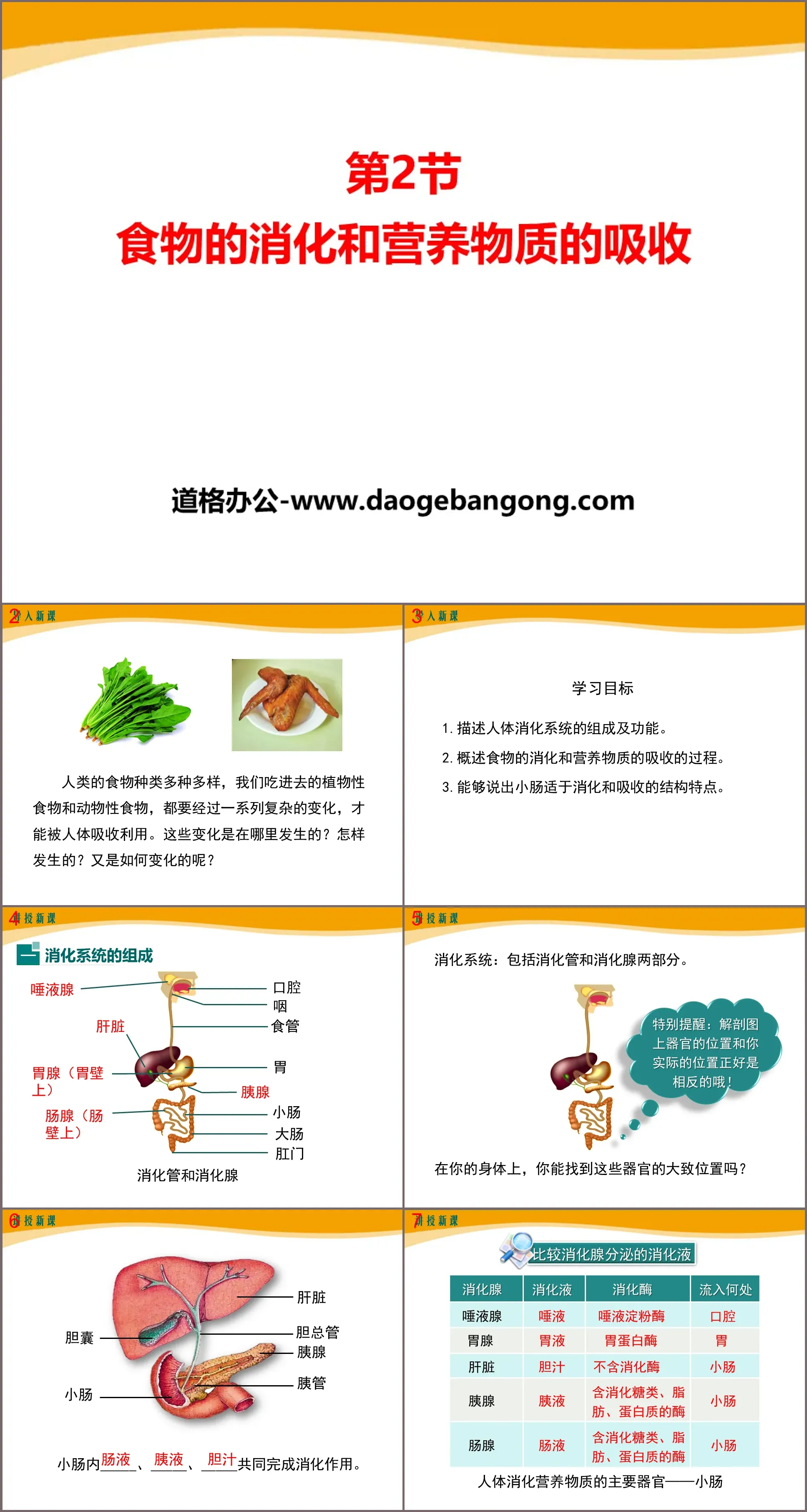 "Digestion of Food and Absorption of Nutrients" PPT download