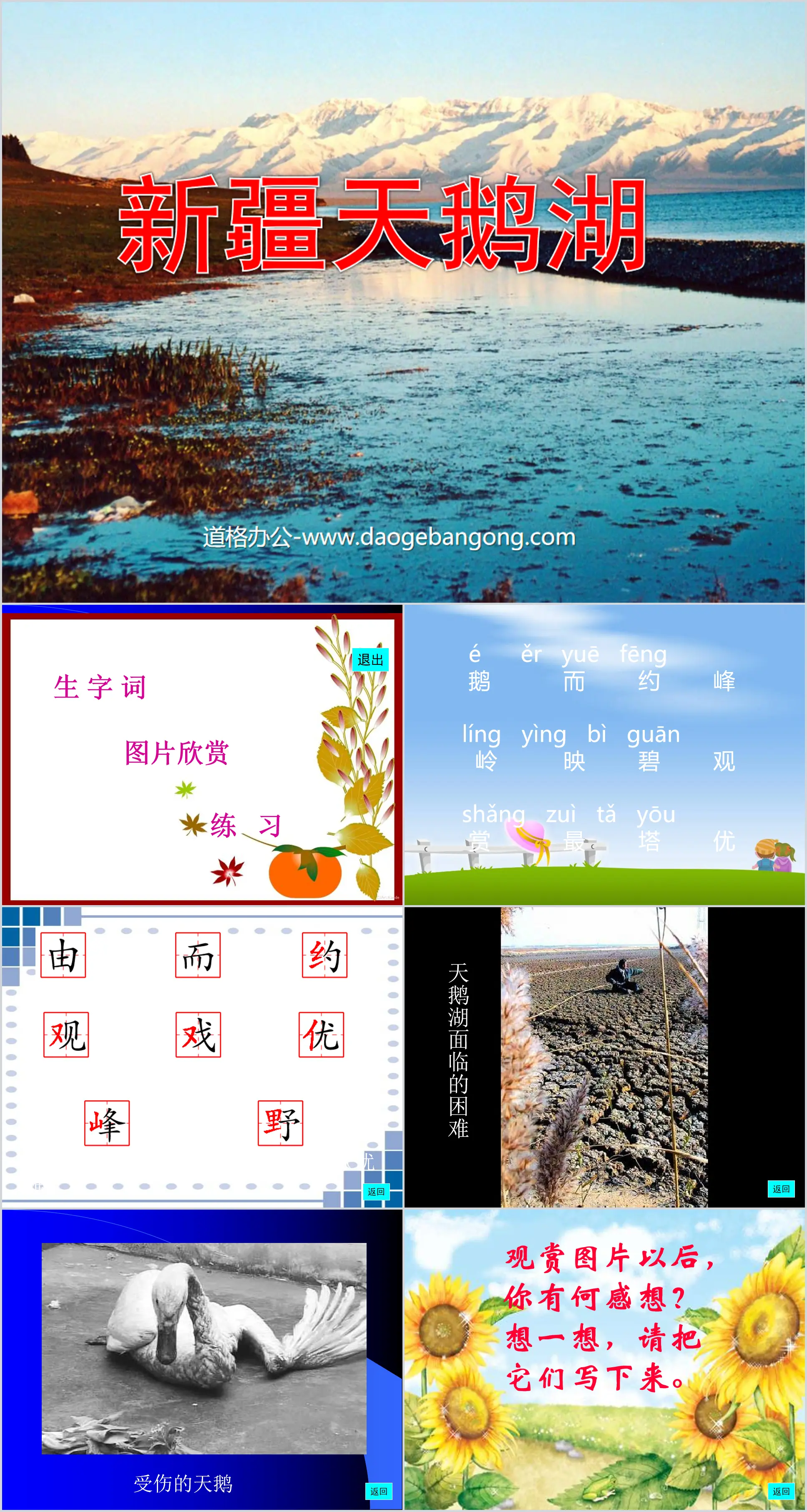 Cours PPT « Le lac des cygnes du Xinjiang »