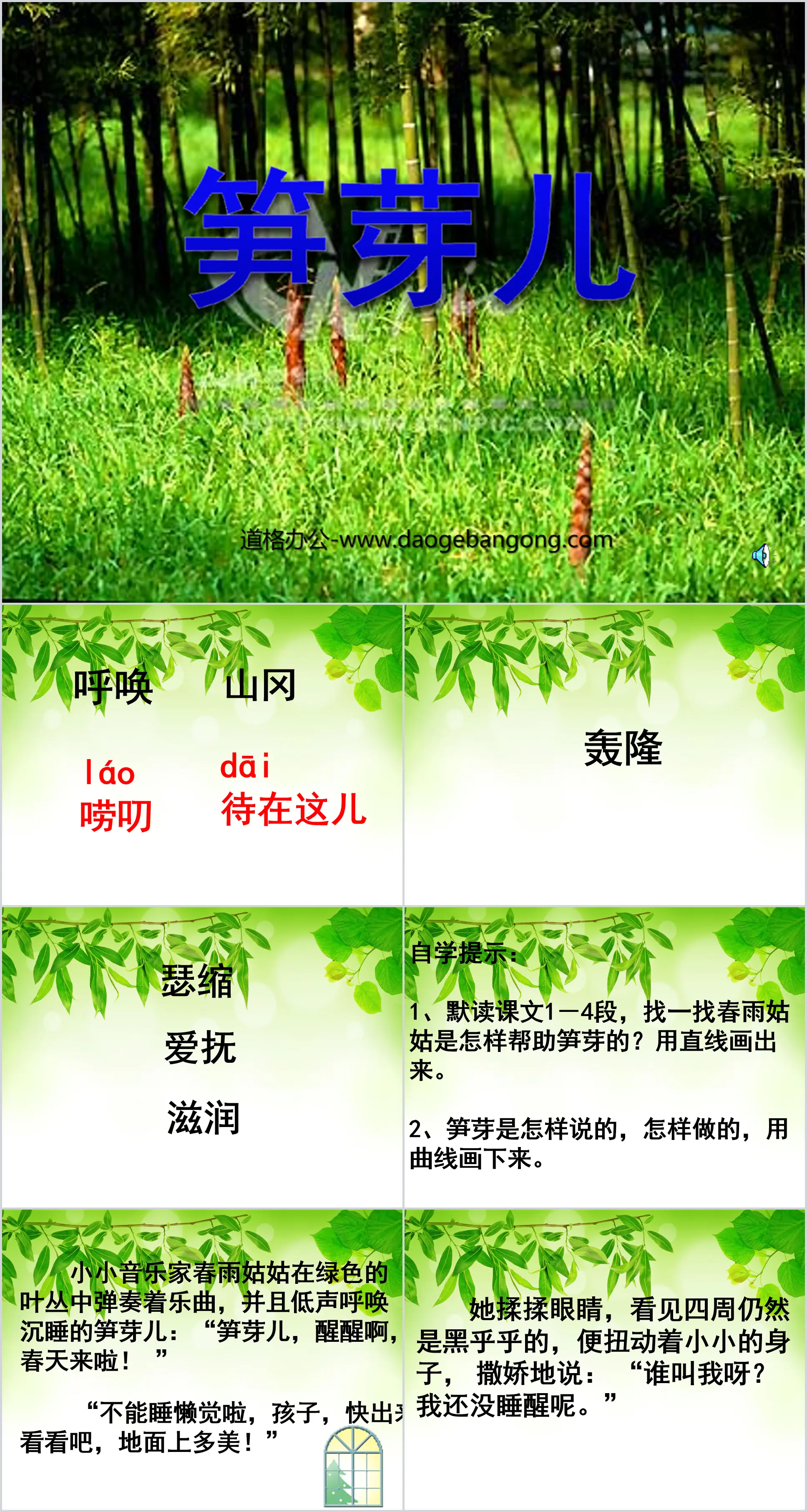 《笋芽儿》PPT课件3
