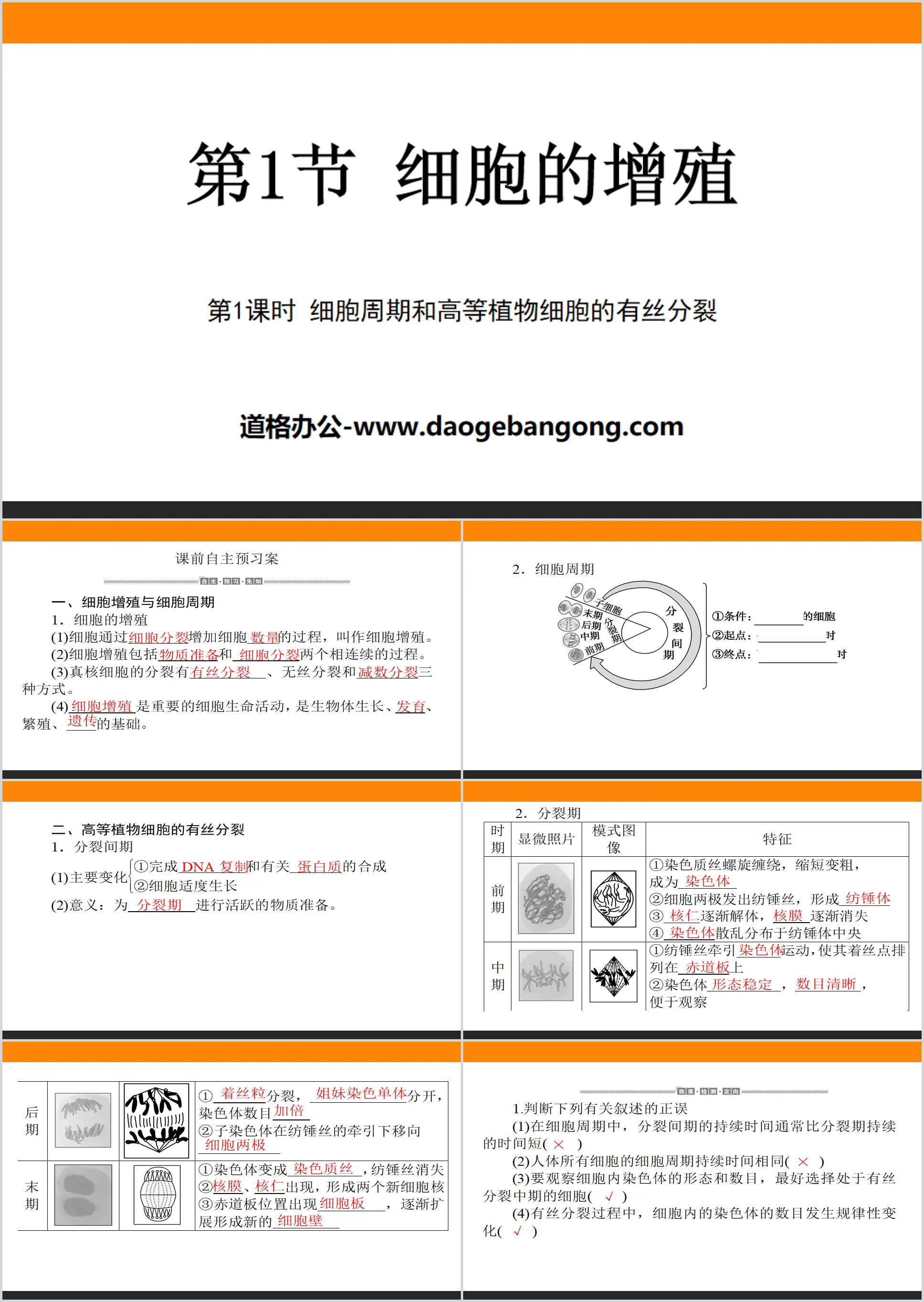 《细胞的增殖》细胞的生命历程PPT下载
