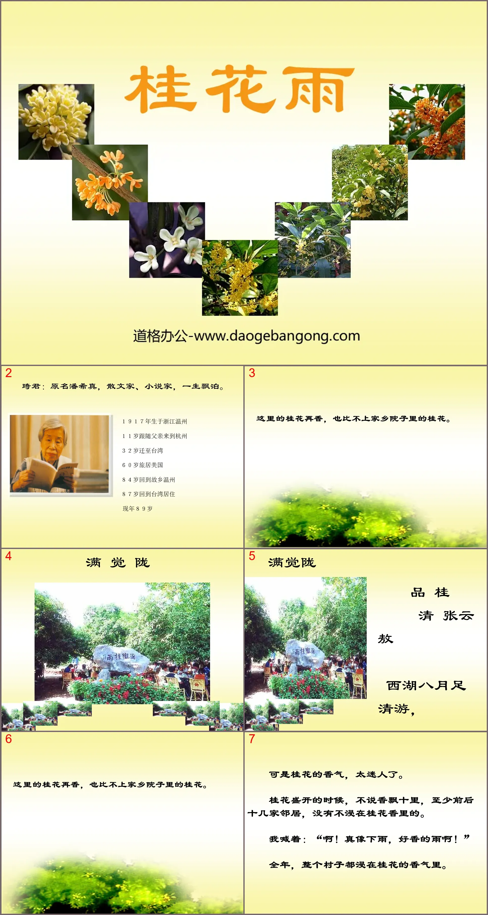 "Osmanthus Rain" PPT courseware