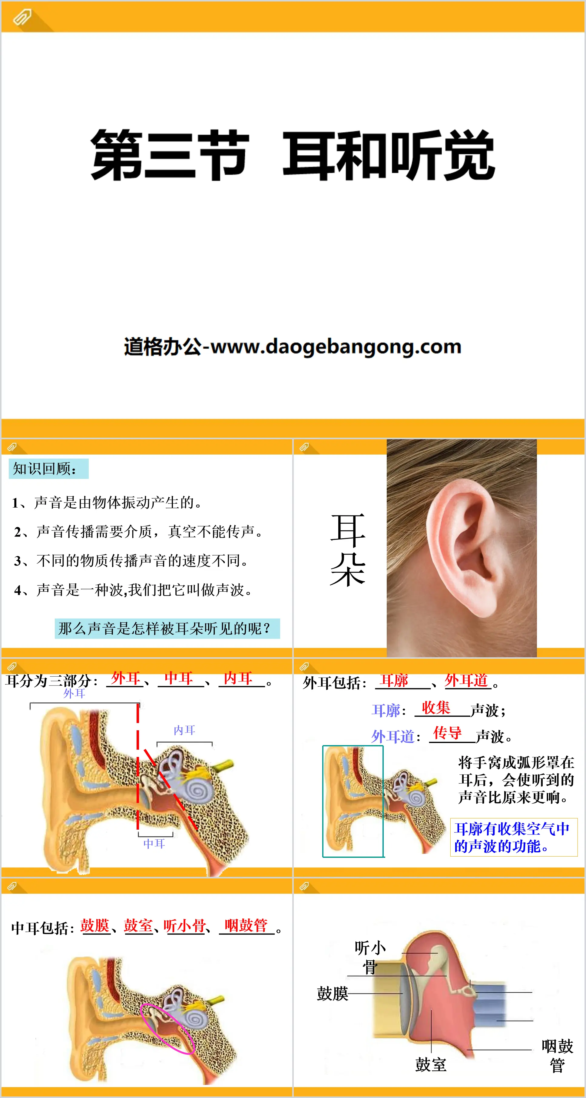 《耳和听觉》PPT课件
