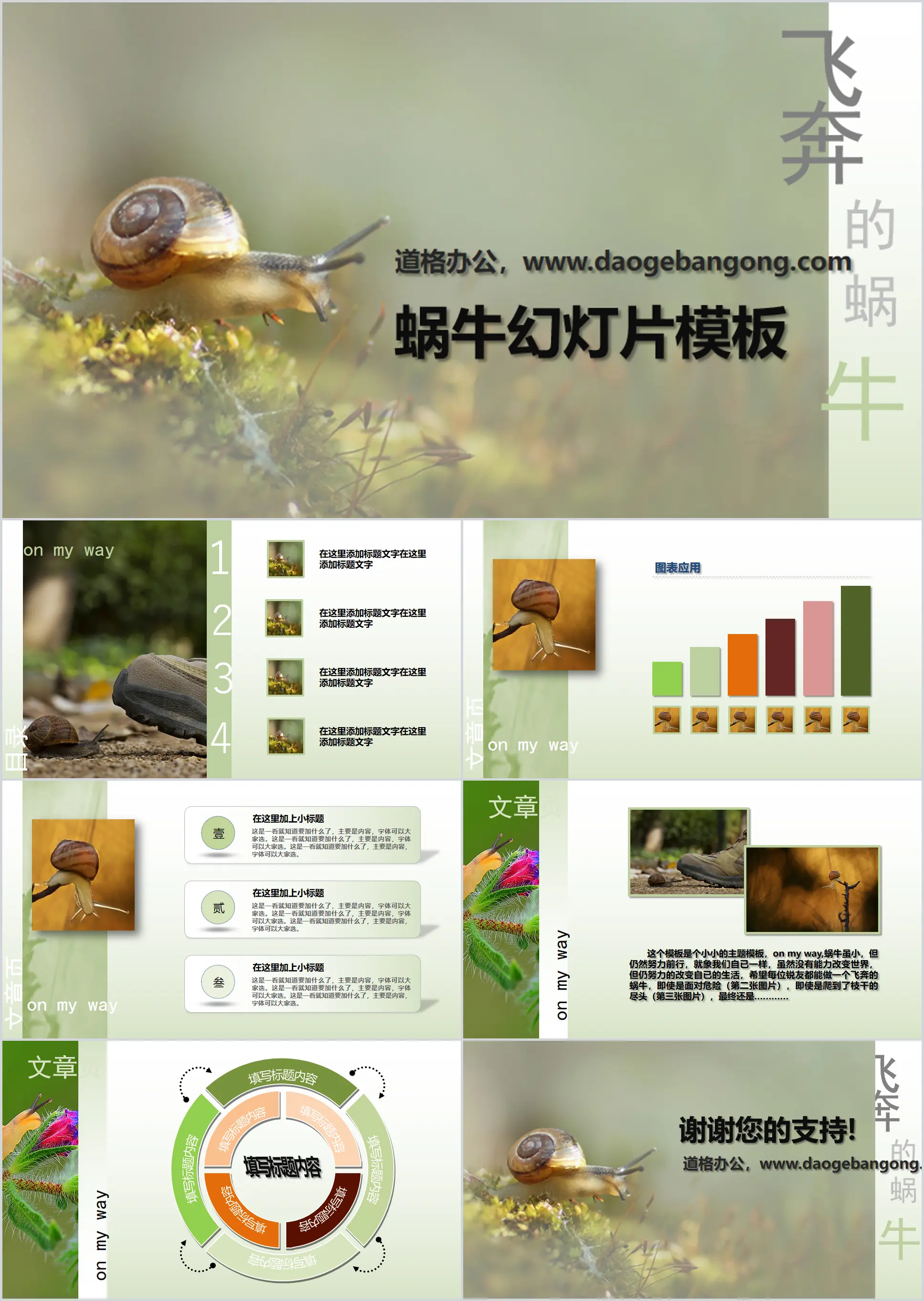 Fresh and elegant snail PowerPoint template download