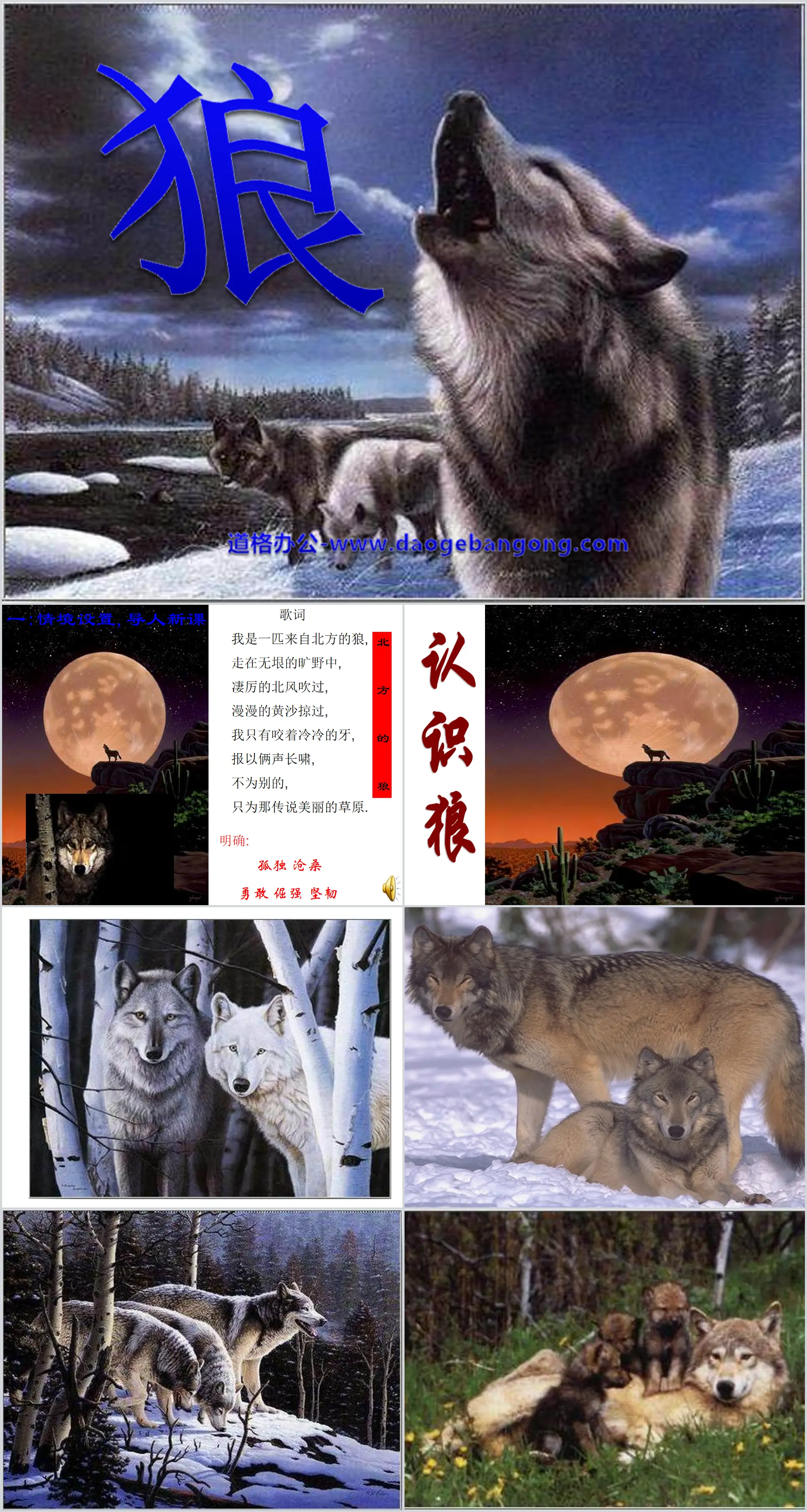 "Wolf" PPT courseware 3