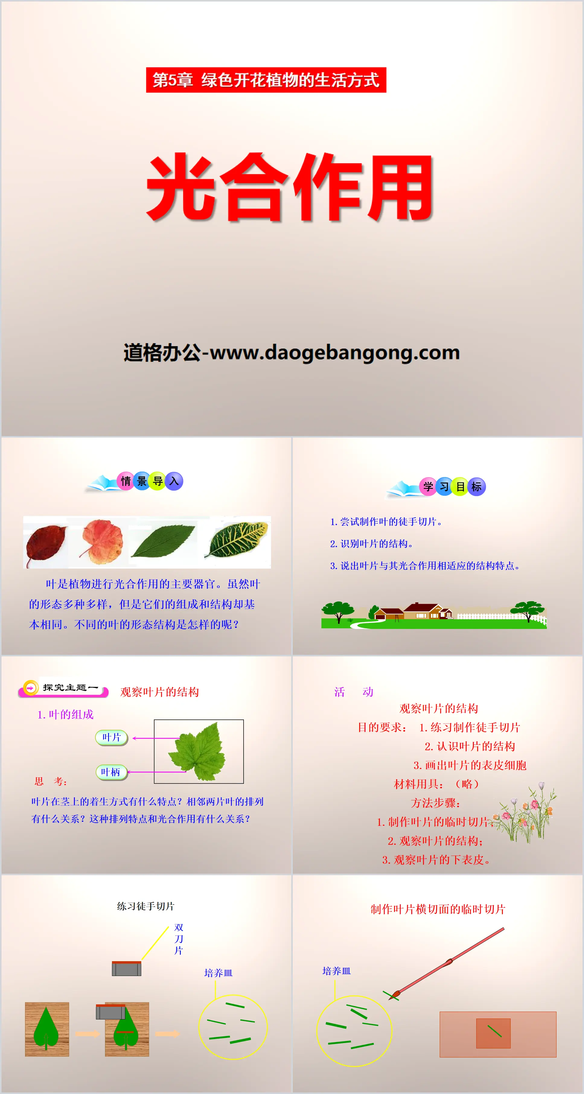 《光合作用》PPT课件
