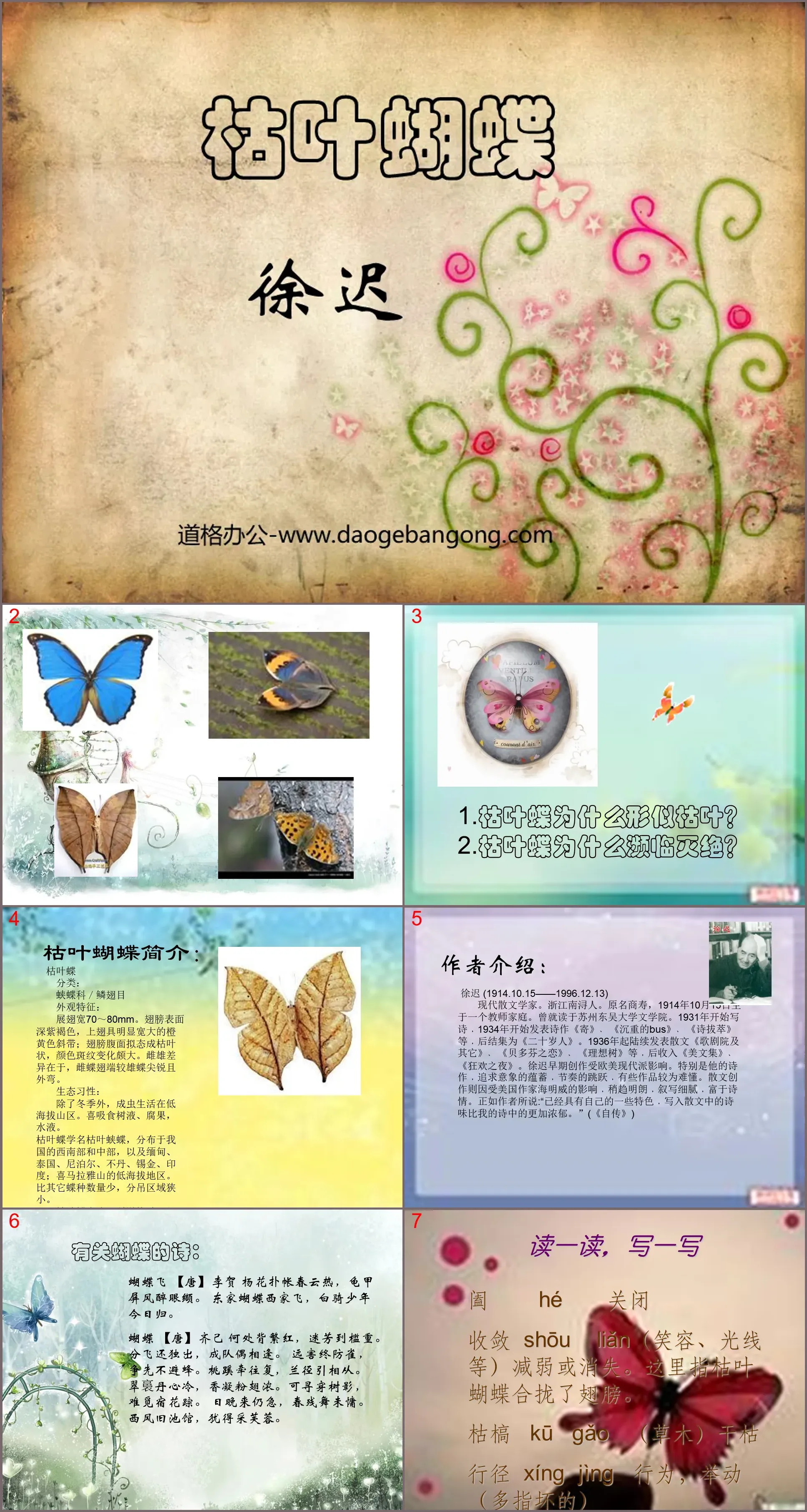 "Dead Leaf Butterfly" PPT courseware 4