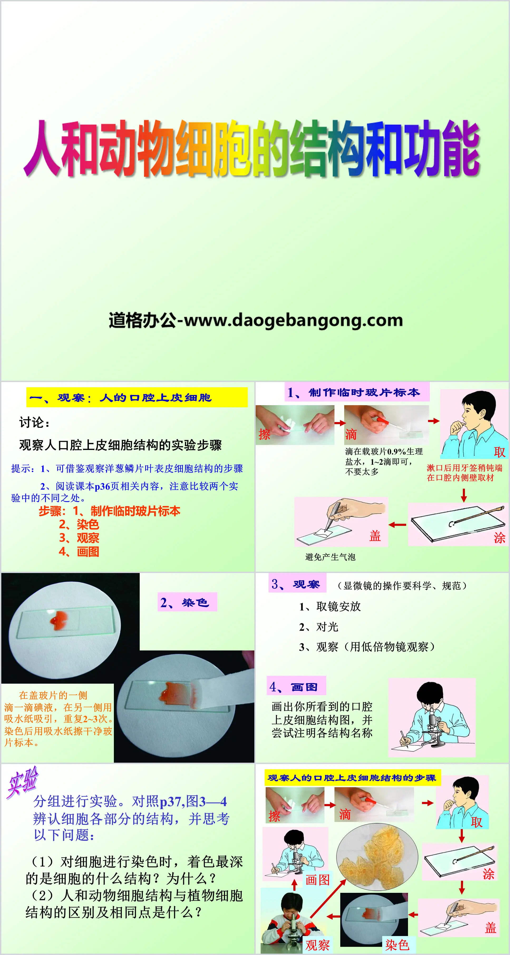 《人類與動物細胞的結構與功能》PPT