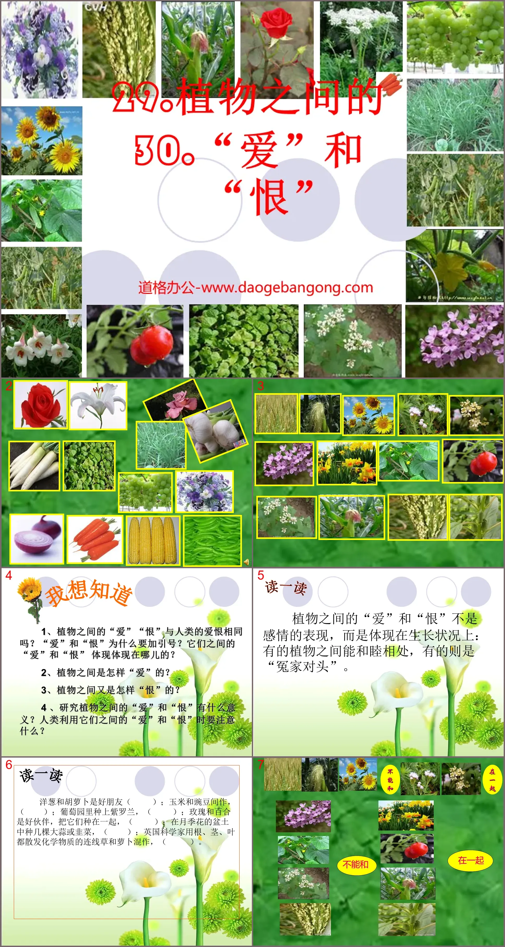 Cours PPT « Amour et haine entre les plantes »