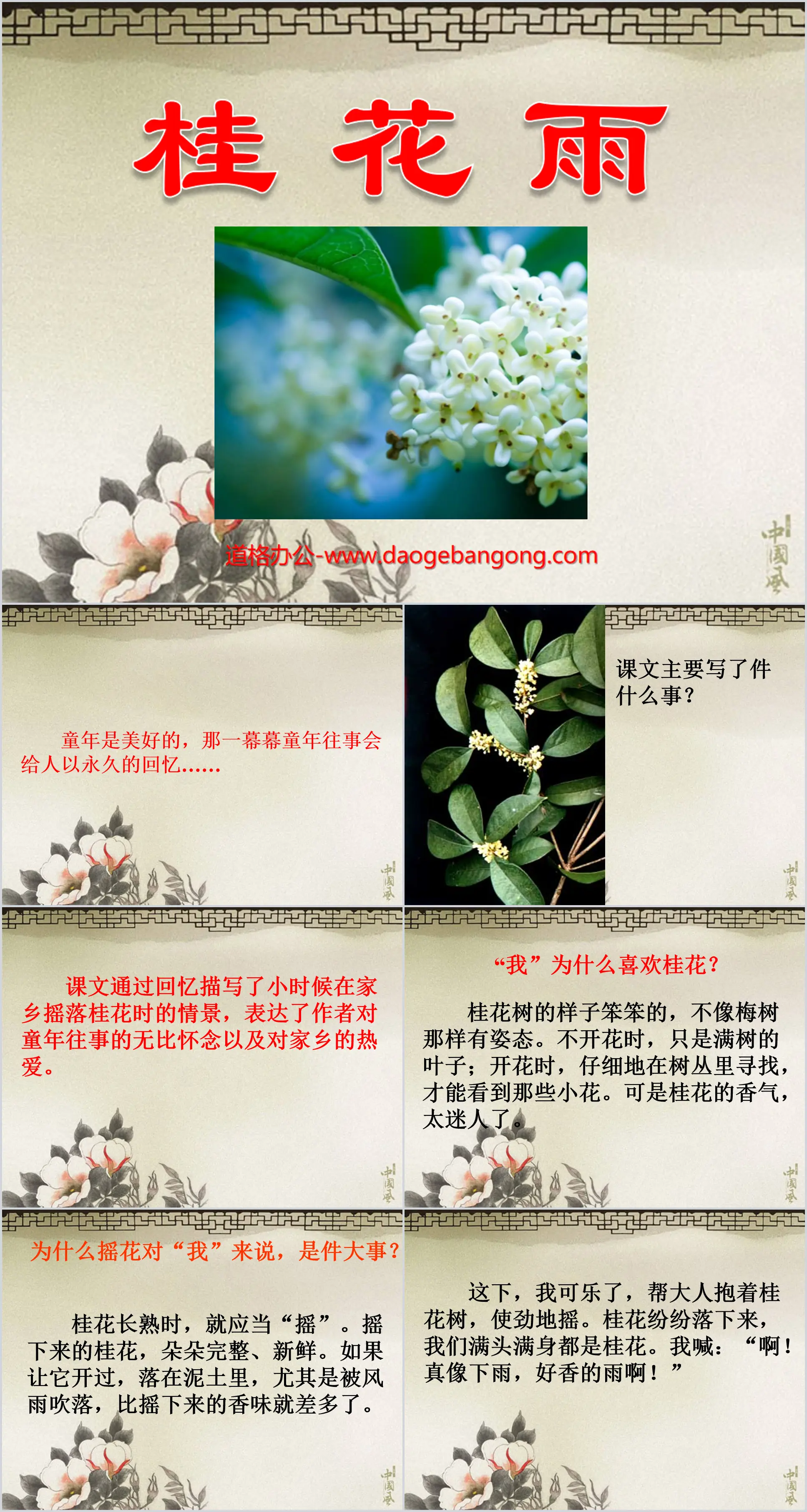 "Osmanthus Rain" PPT courseware download