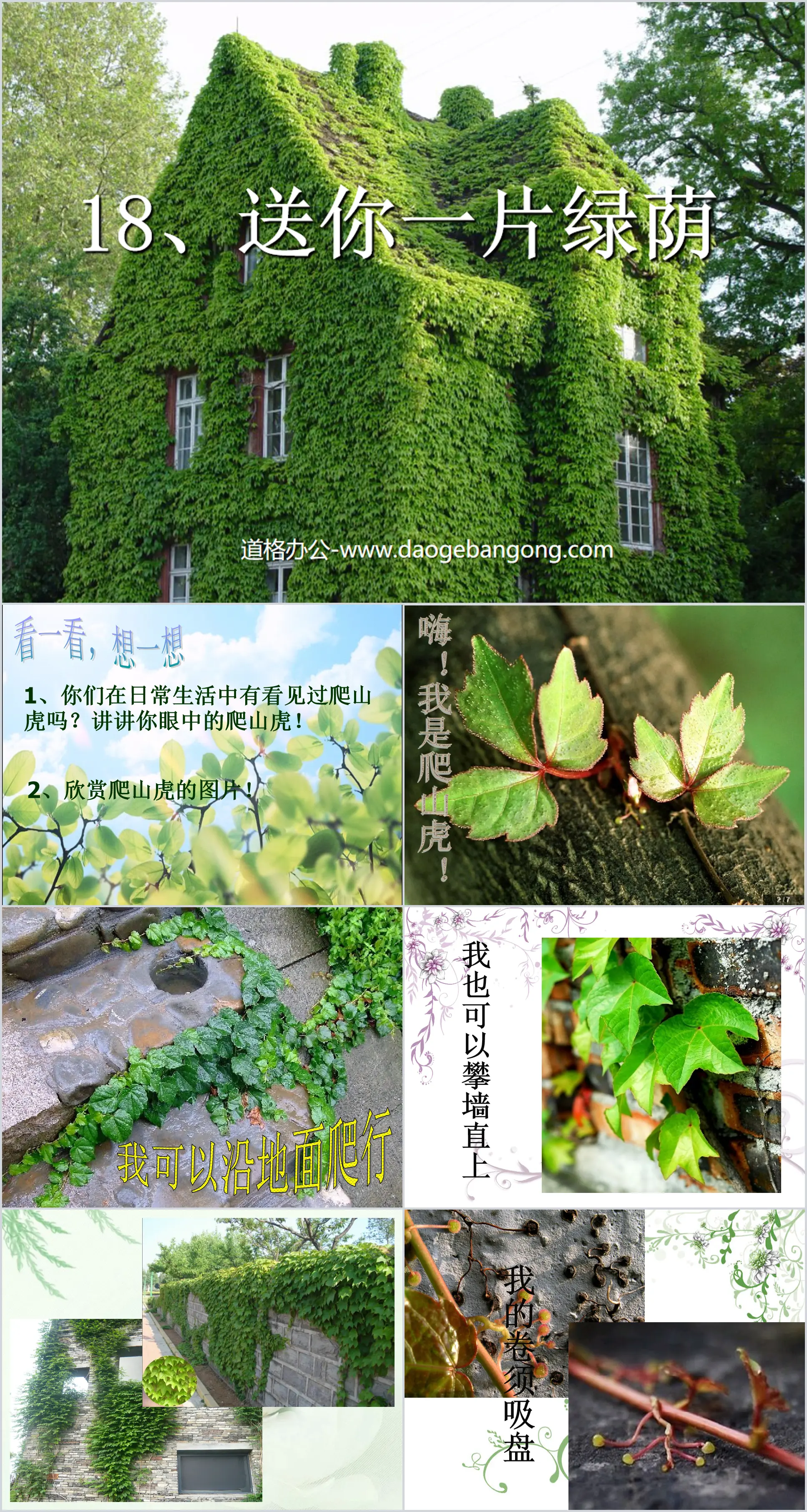 《送你一片绿荫》PPT课件2
