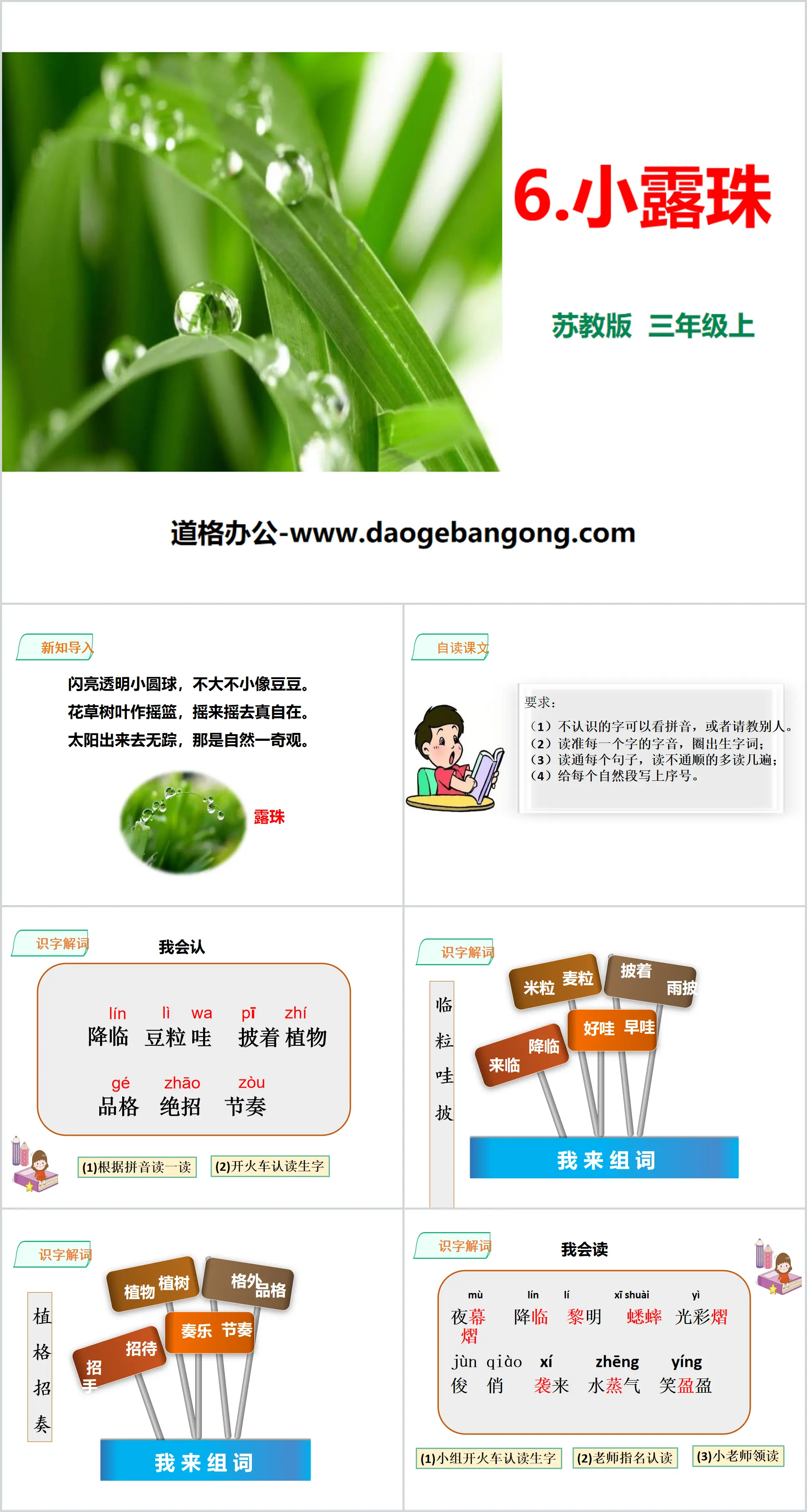 《小露珠》PPT
