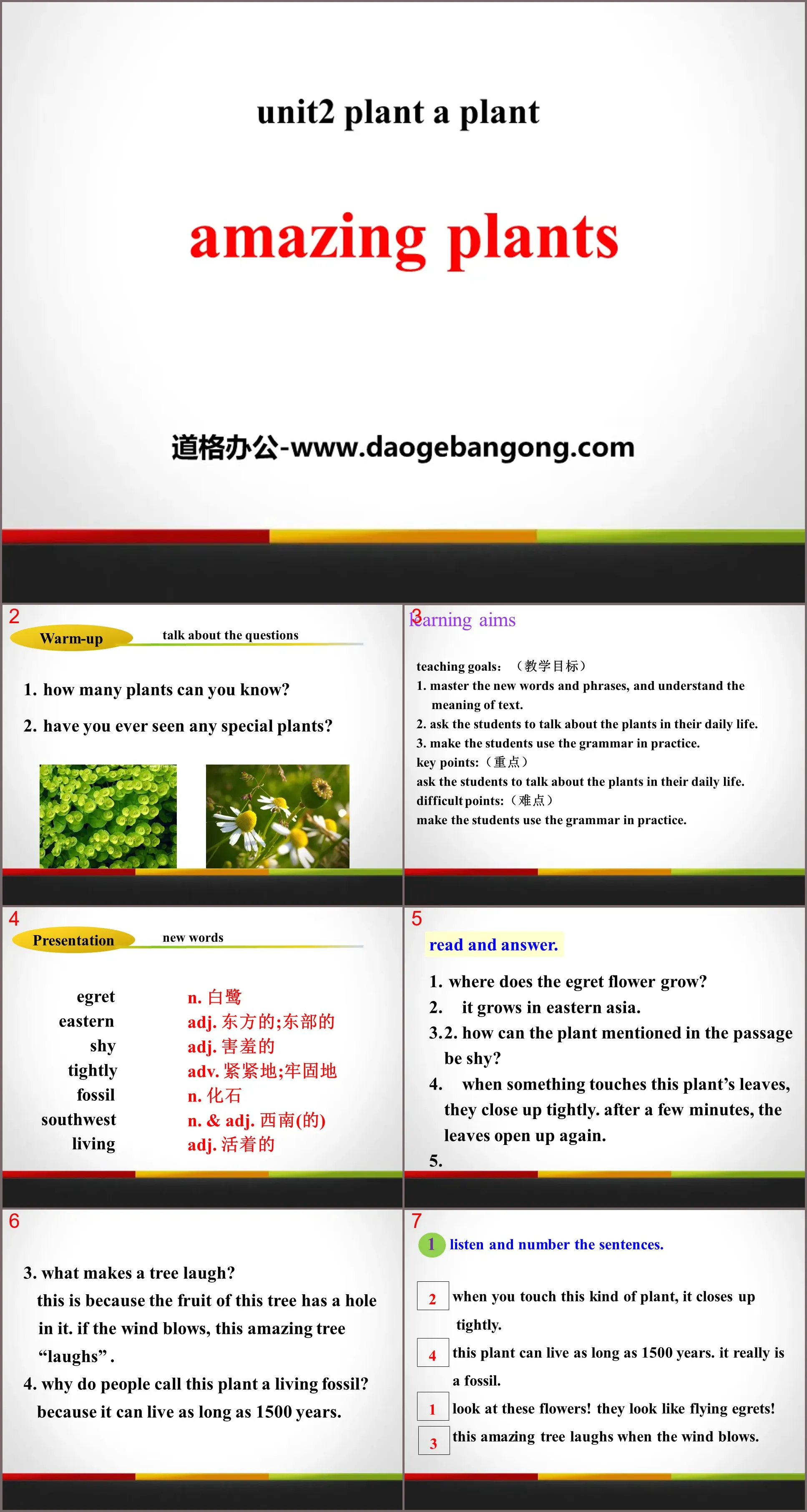 《Amazing Plants》Plant a Plant PPT