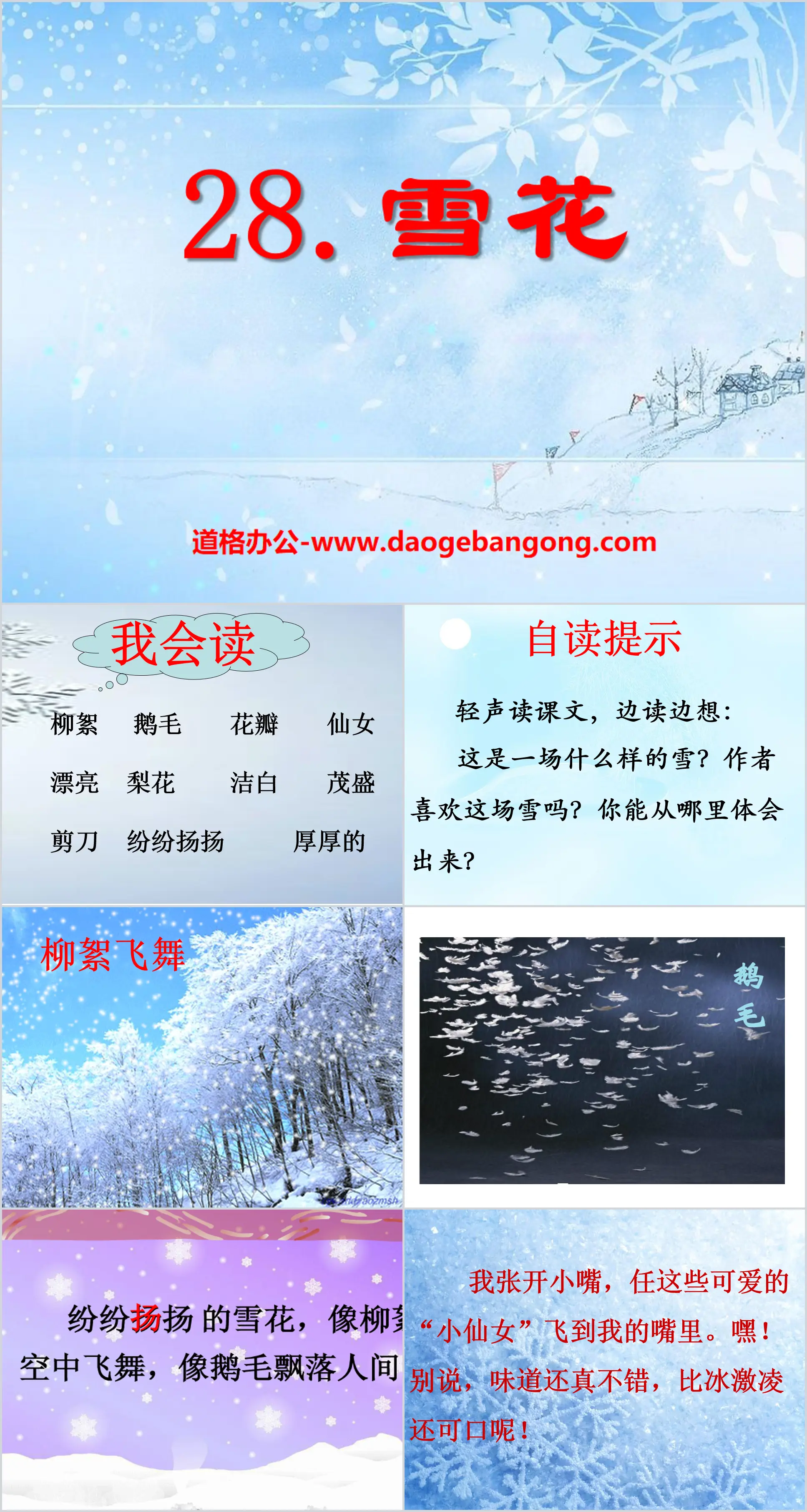 《雪花》PPT课件3
