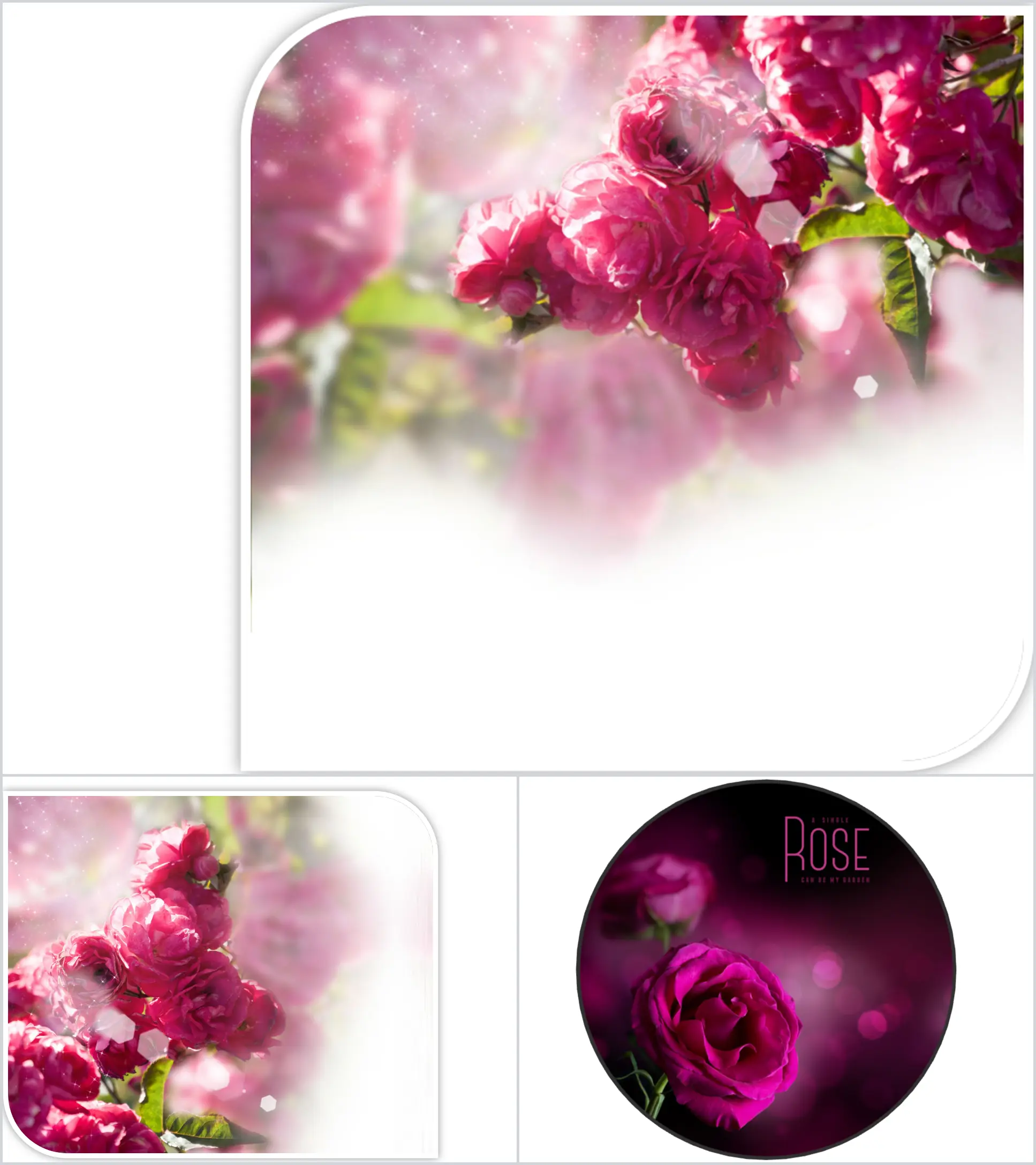 Red flower sea PPT background picture