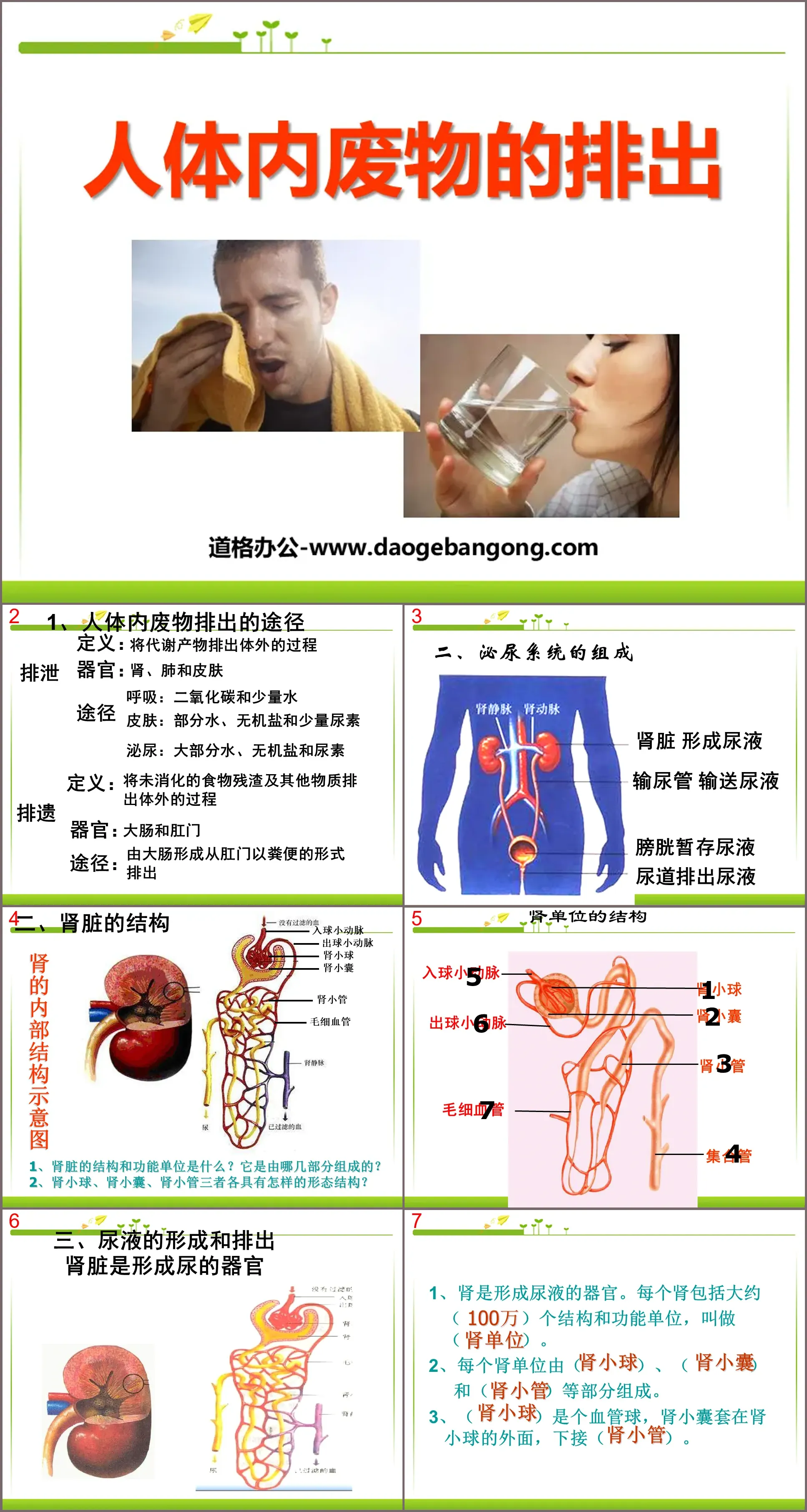 《人体内废物的排出》PPT课件6