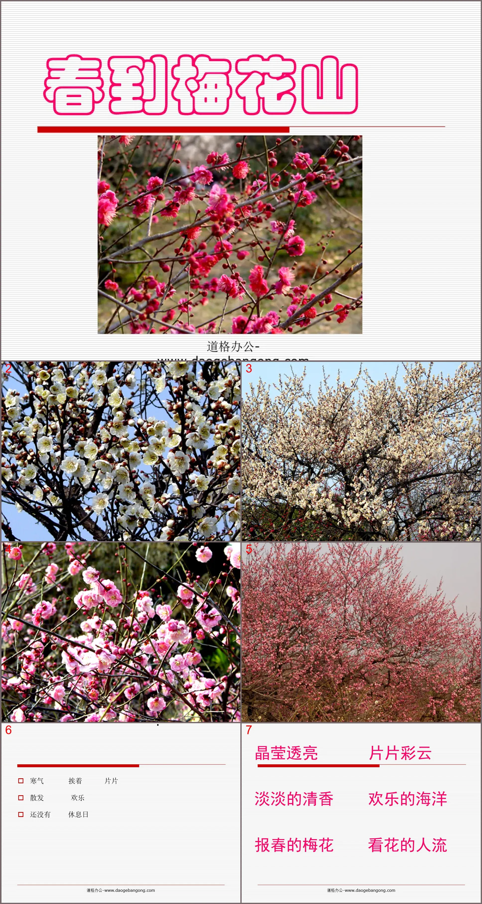 "Spring Arrives at Plum Blossom Mountain" PPT Courseware 2